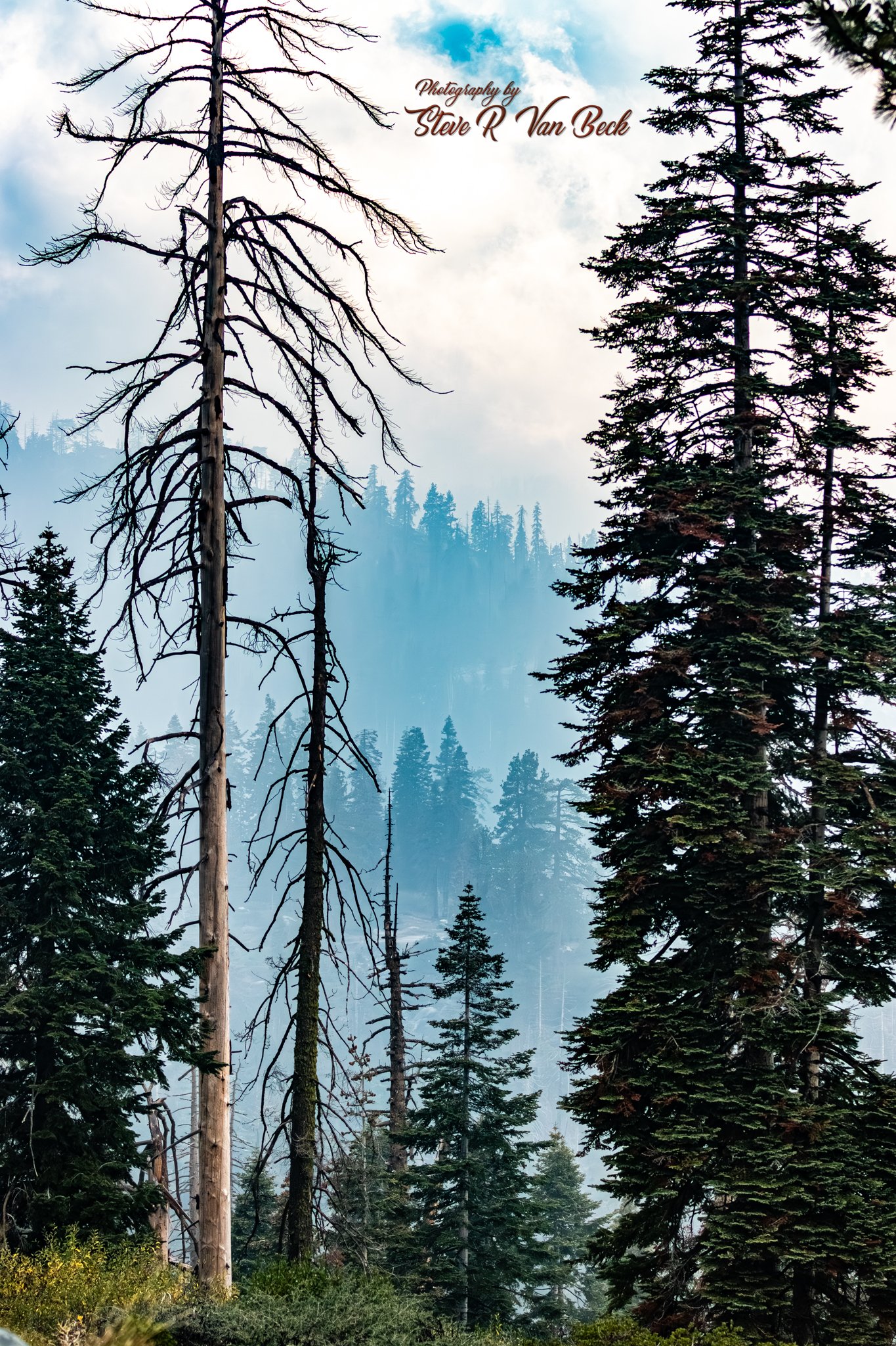 Kings Canyon National Park California