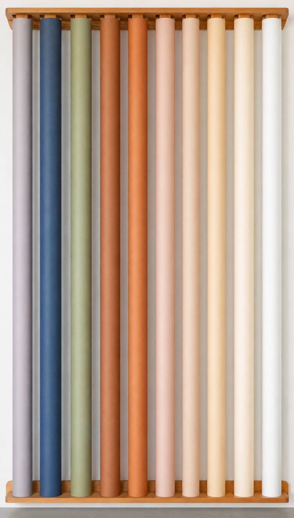 Studio Seamless Backdrop Kit+ Setup