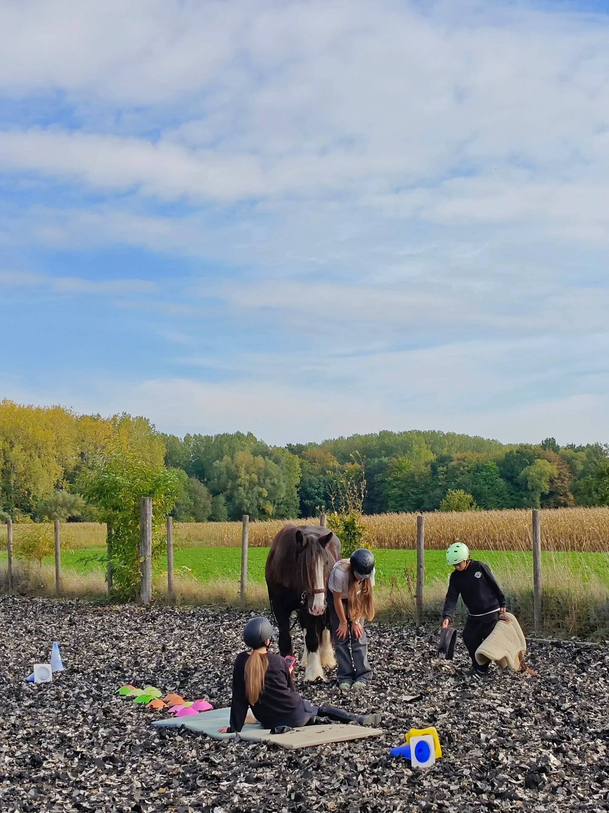 Drie kinderen met helmen in een buitenruimte met een paard, mogelijk voor training of spelen, onder een blauwe lucht met wolken.