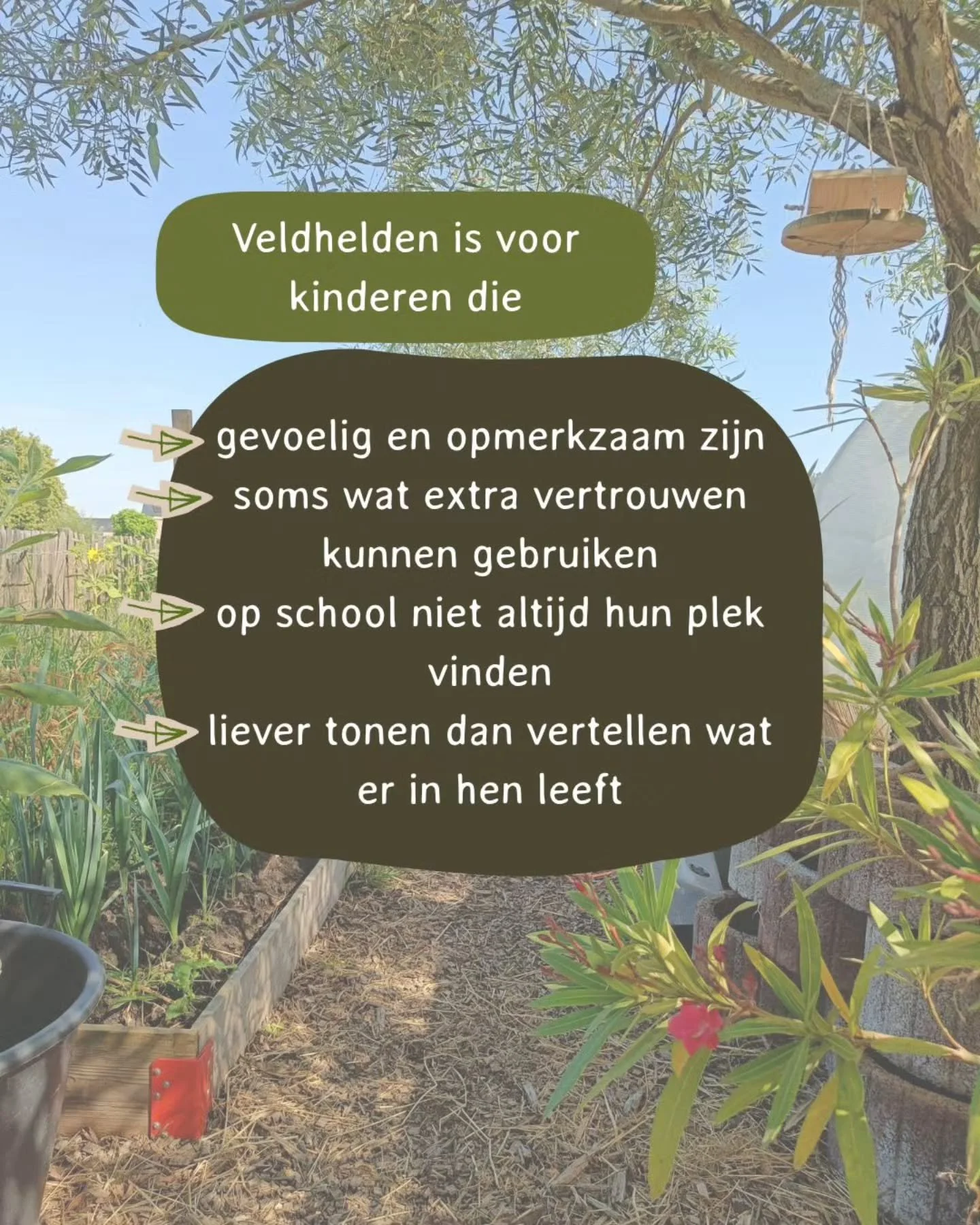 Is dit herkenbaar? Lijkt dit ook iets te zijn voor jouw kind? Bij ons kan je terecht voor individuele coaching en/of een groepstraject.
Boek een gratis rondleiding op onze website en kom samen op ontdekking!