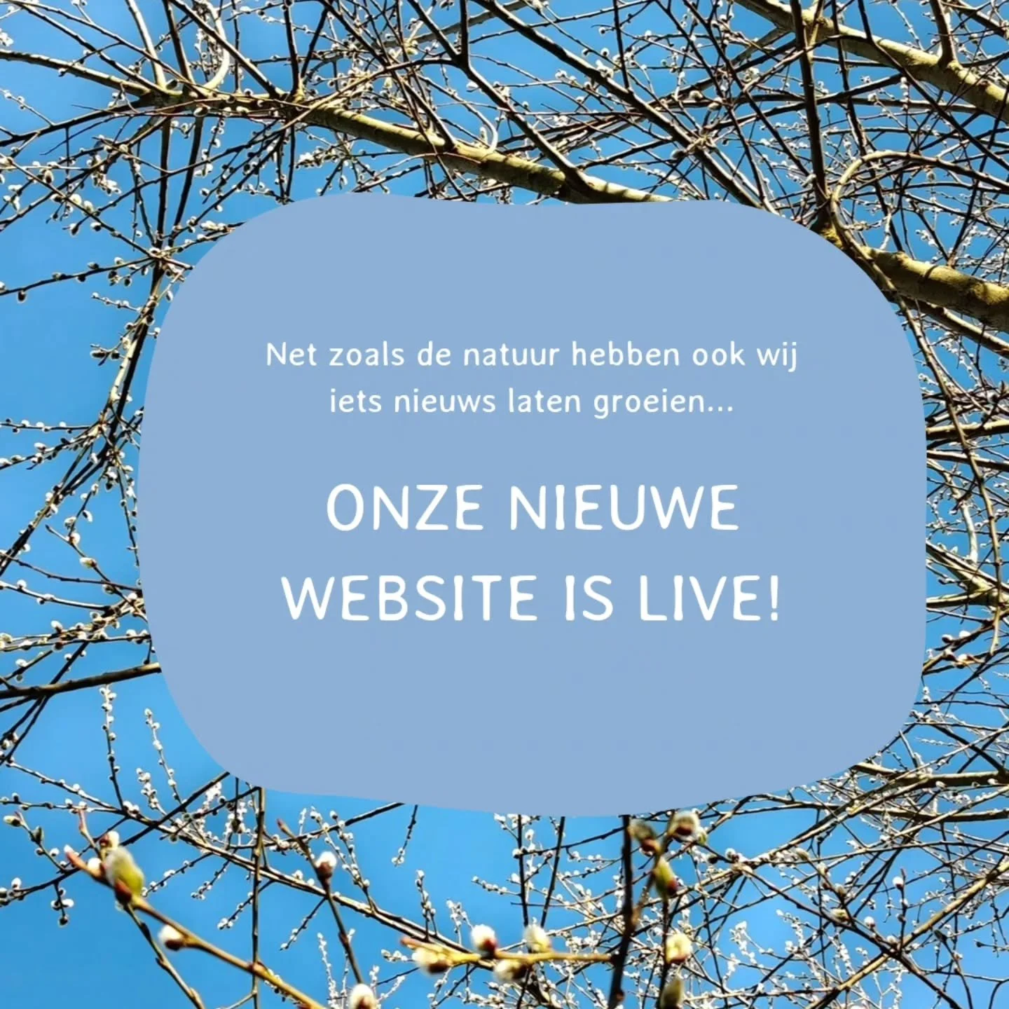 De afgelopen dagen voelden als een voorproefje van de lente
En precies d&aacute;t gevoel wilden we vasthouden.
Want net zoals de natuur, hebben wij ook iets nieuws laten groeien&hellip;

Onze nieuwe website is live!

Frisser en Overzichtelijker
Met l