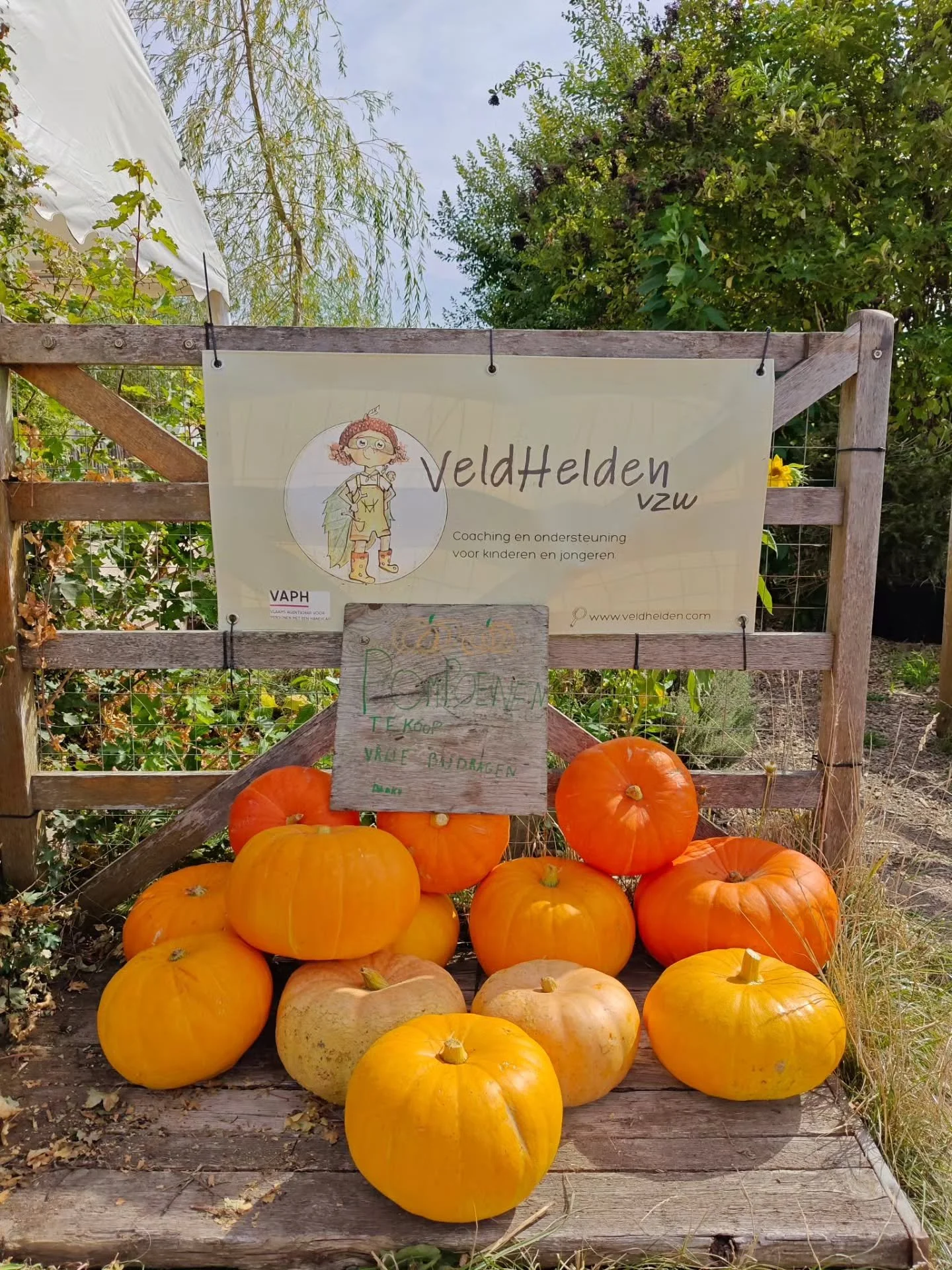 Wie komt er langs vandaag?!
Lekkere pompoenen! 
De kinderen zouden heel blij zijn met een gift, zo kunnen we sparen voor iets leuks! 
Tot straks!