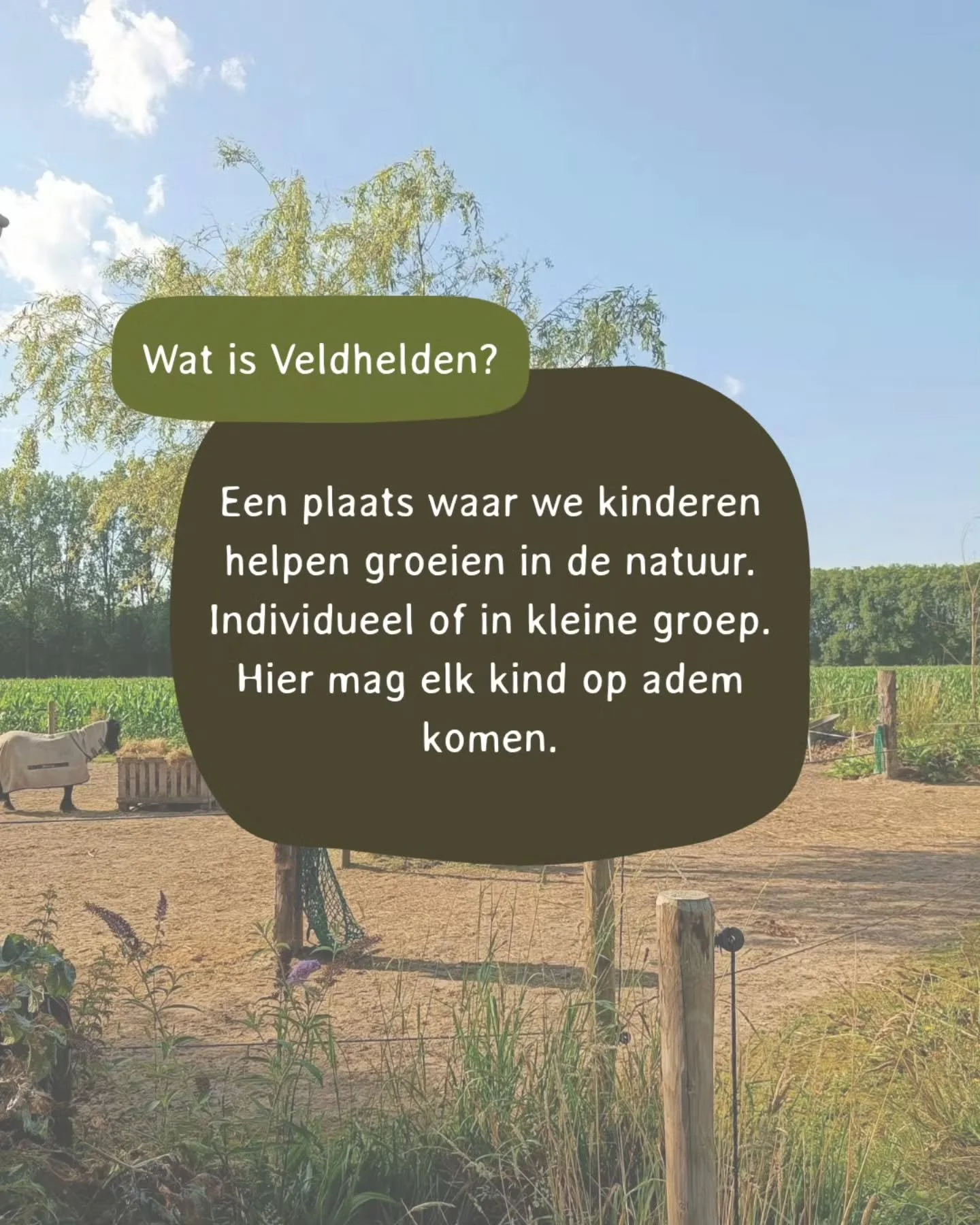 Veldhelden is een begeleide ontwikkelingsplek waar kinderen mogen groeien in de natuur.
Individueel of in een kleine groep.

Een plek waar elk kind op adem mag komen.
Waar er ruimte is om te voelen, ontdekken en zichzelf te zijn.

Wil je kennismaken?
