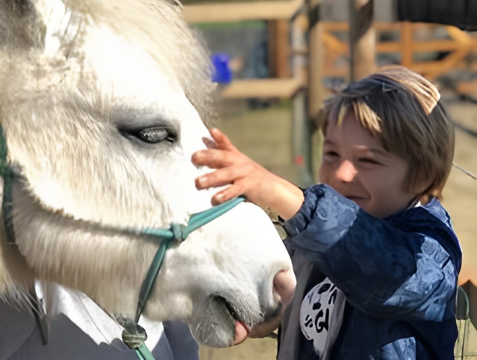 Een jongen aait een witte paard op het hoofd.