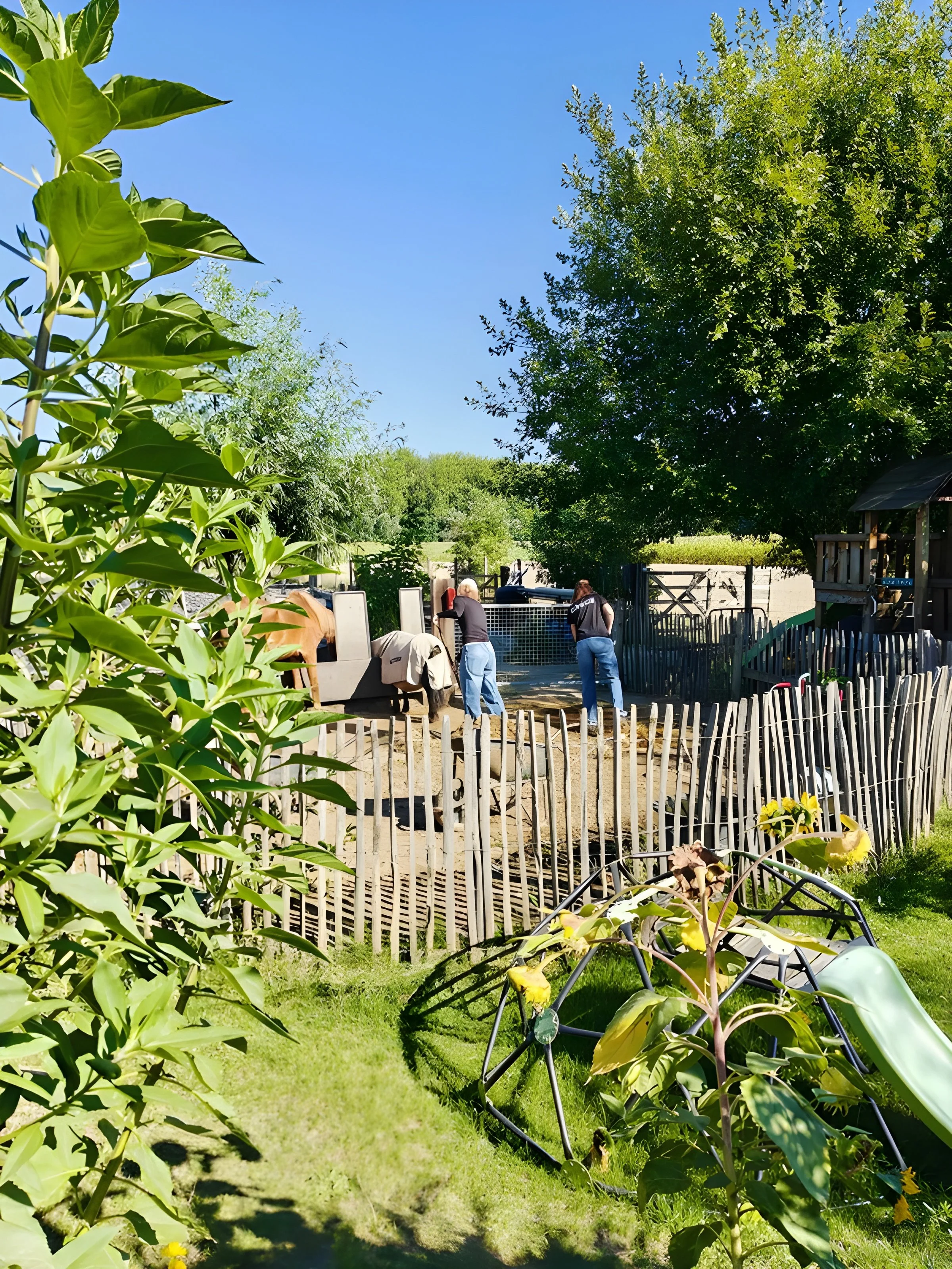 Twee mensen werken in een tuin met houten schuttingen, groene bomen en speelfaciliteiten op een zonnige dag.