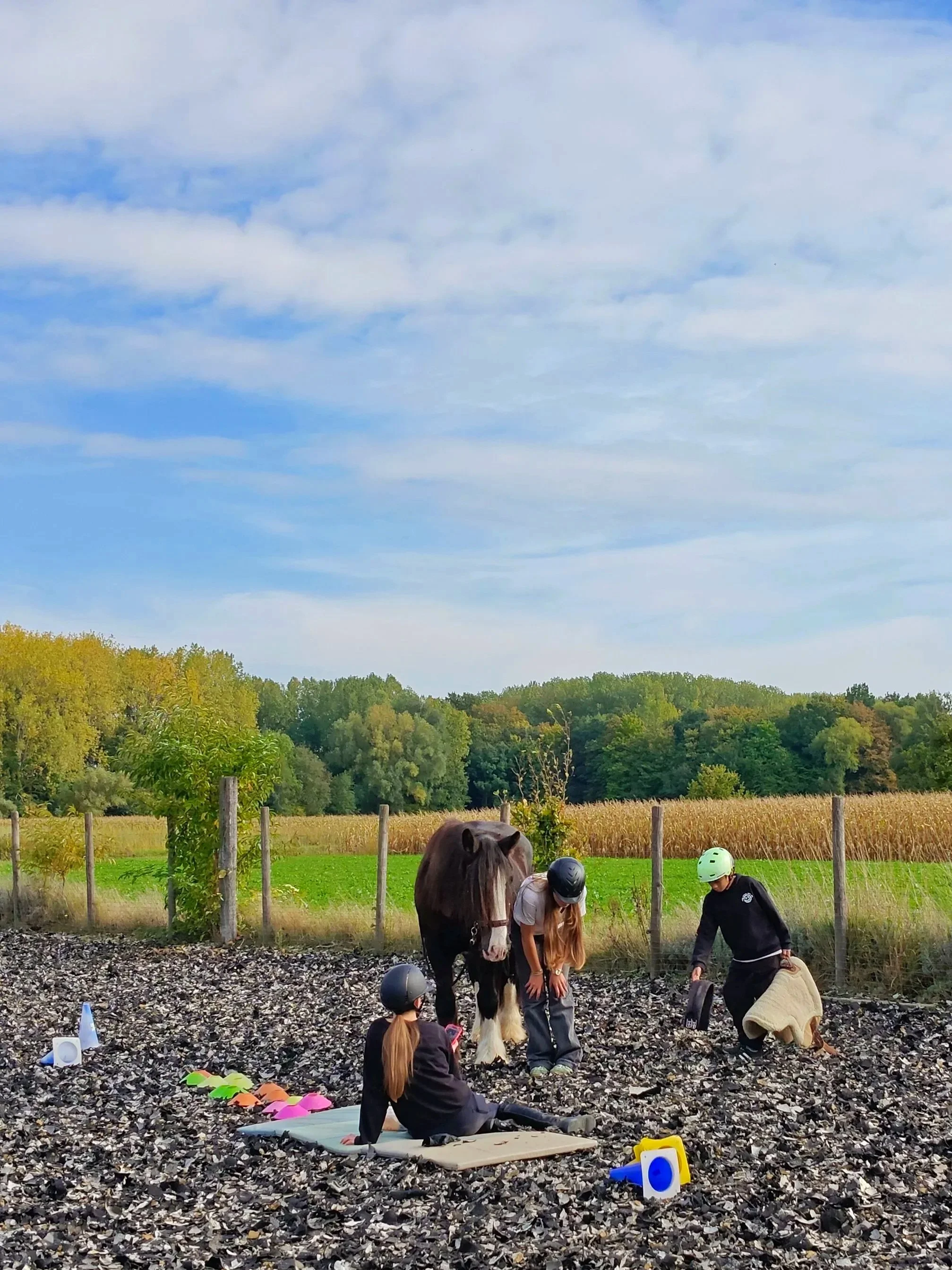 Vier kinderen met helmen rondom een pony in een buitenlandschap met bomen en een weiland, bezig met knutselen of speeltijd met speelgoed.