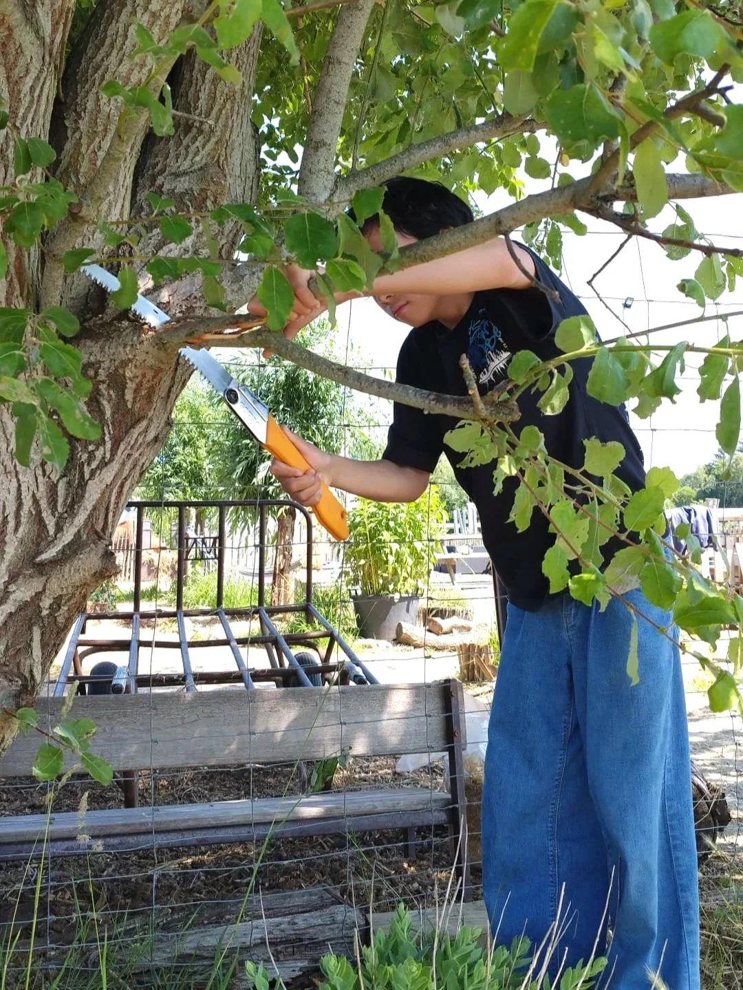 Jongen snoeit een boom met een zaag in een tuin, met een tuinwagen op de achtergrond.