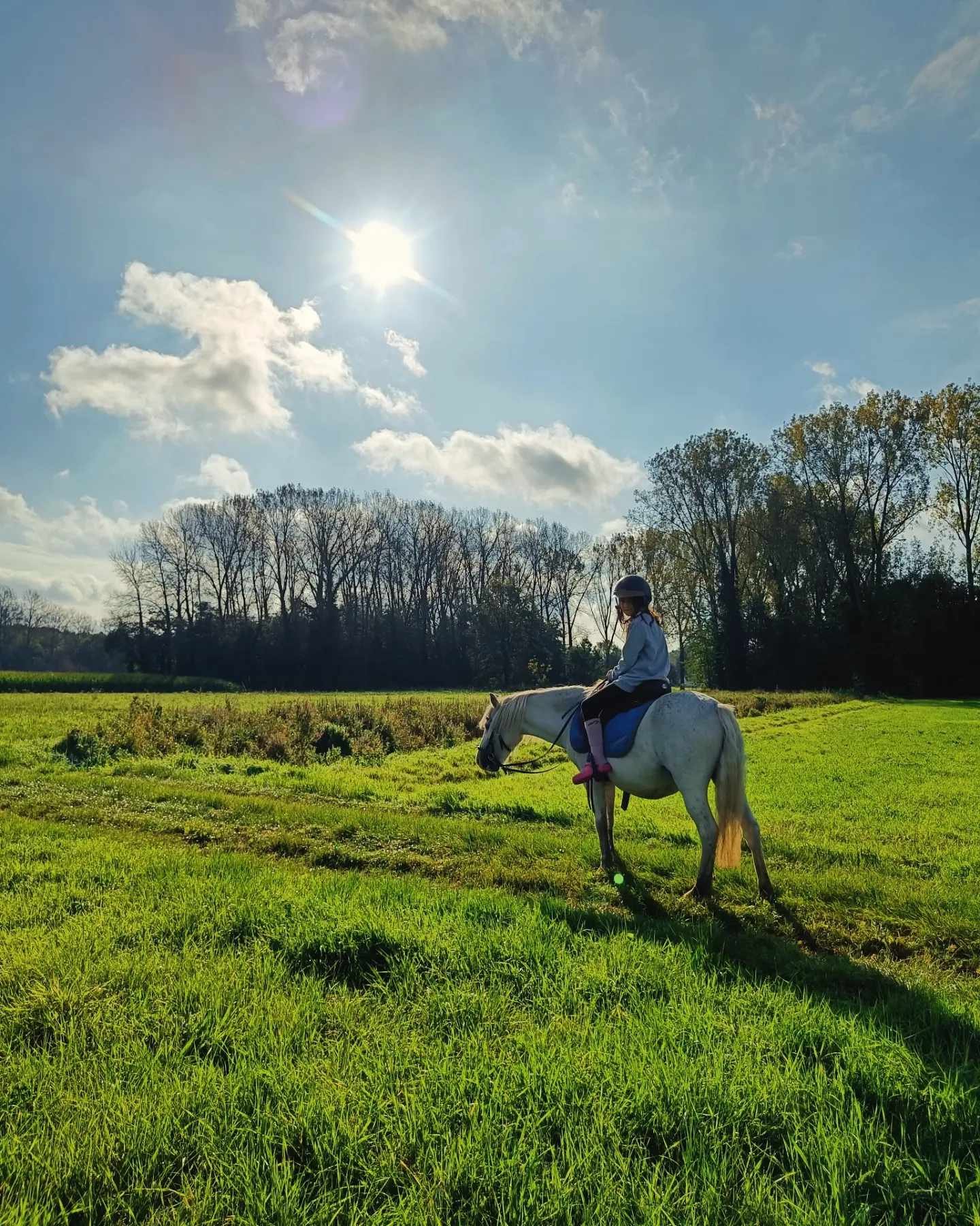 Persoon die op een wit paard rijdt op een groen veld, onder een heldere blauwe hemel met de zon en enkele wolken, met bomen op de achtergrond.