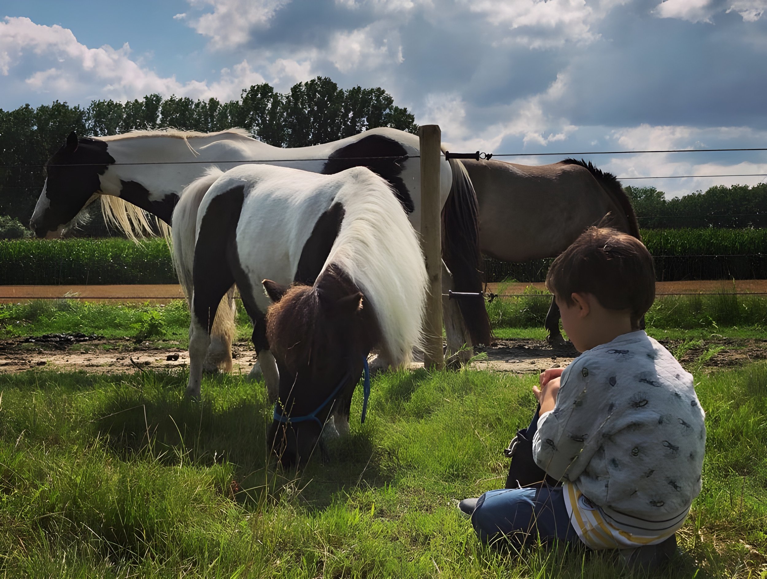 Een kind zit op de grond in een weiland met drie paarden op de achtergrond, onder een bewolkte lucht.