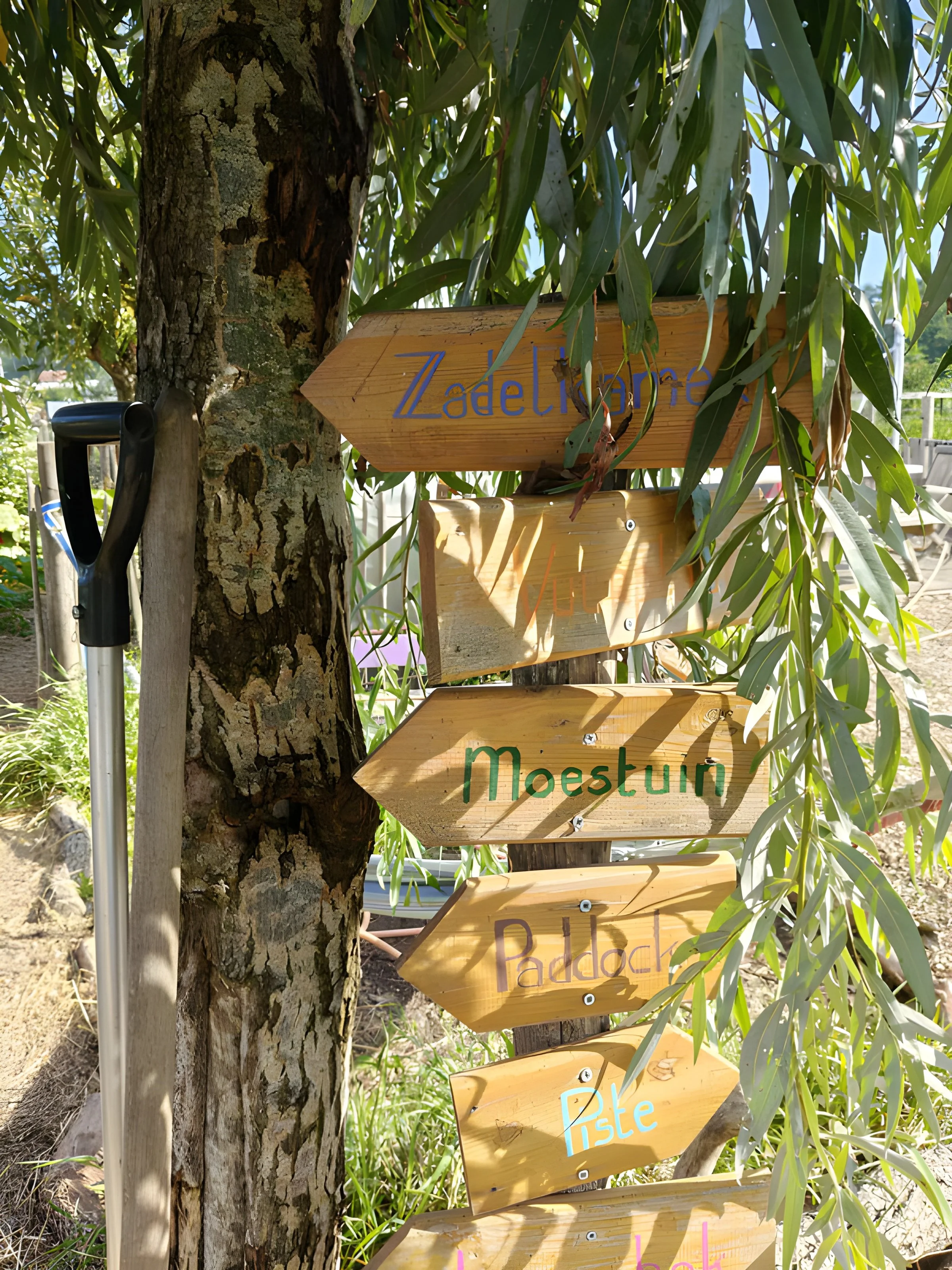 Een houten signaalbord met richtingen, bevestigd aan een boom, met de woorden 'Zadelkantoor', 'Moestuin', 'Paddock' en 'Piste' in verschillende kleuren. Omringd door groene bladeren.