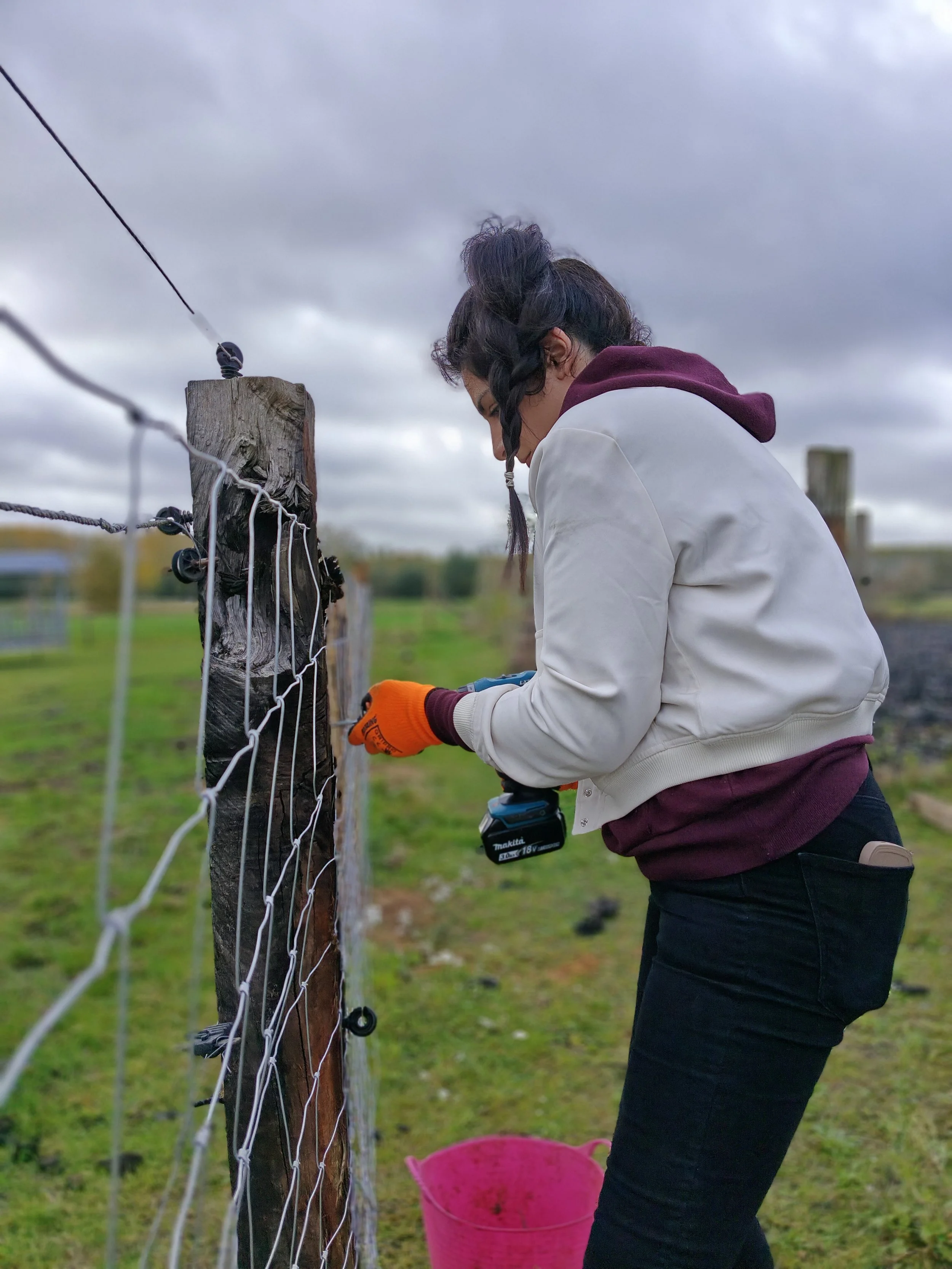 Vrouw met handschoenen verft een houten paal langs een metalen hek op een groene open plek, met een grijze wolkenlucht boven haar.