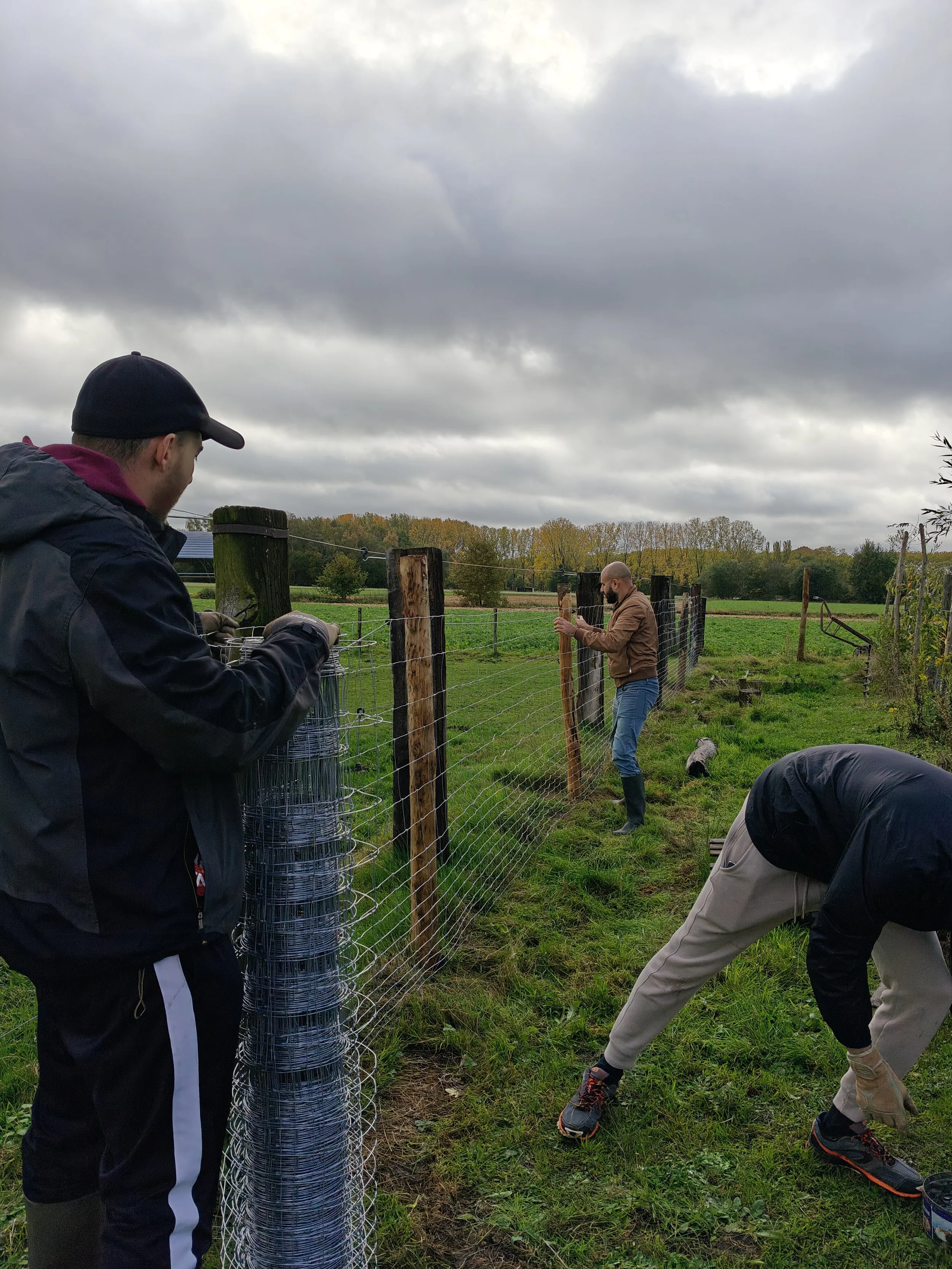 Mensen werken samen aan het plaatsen van een draadraadhek op een landelijke groene weide met bomen en een bewolkte lucht op de achtergrond.