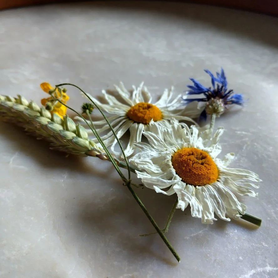 Dried flower arrangement with daisies, chamomile, and blue cornflowers on a marble surface.