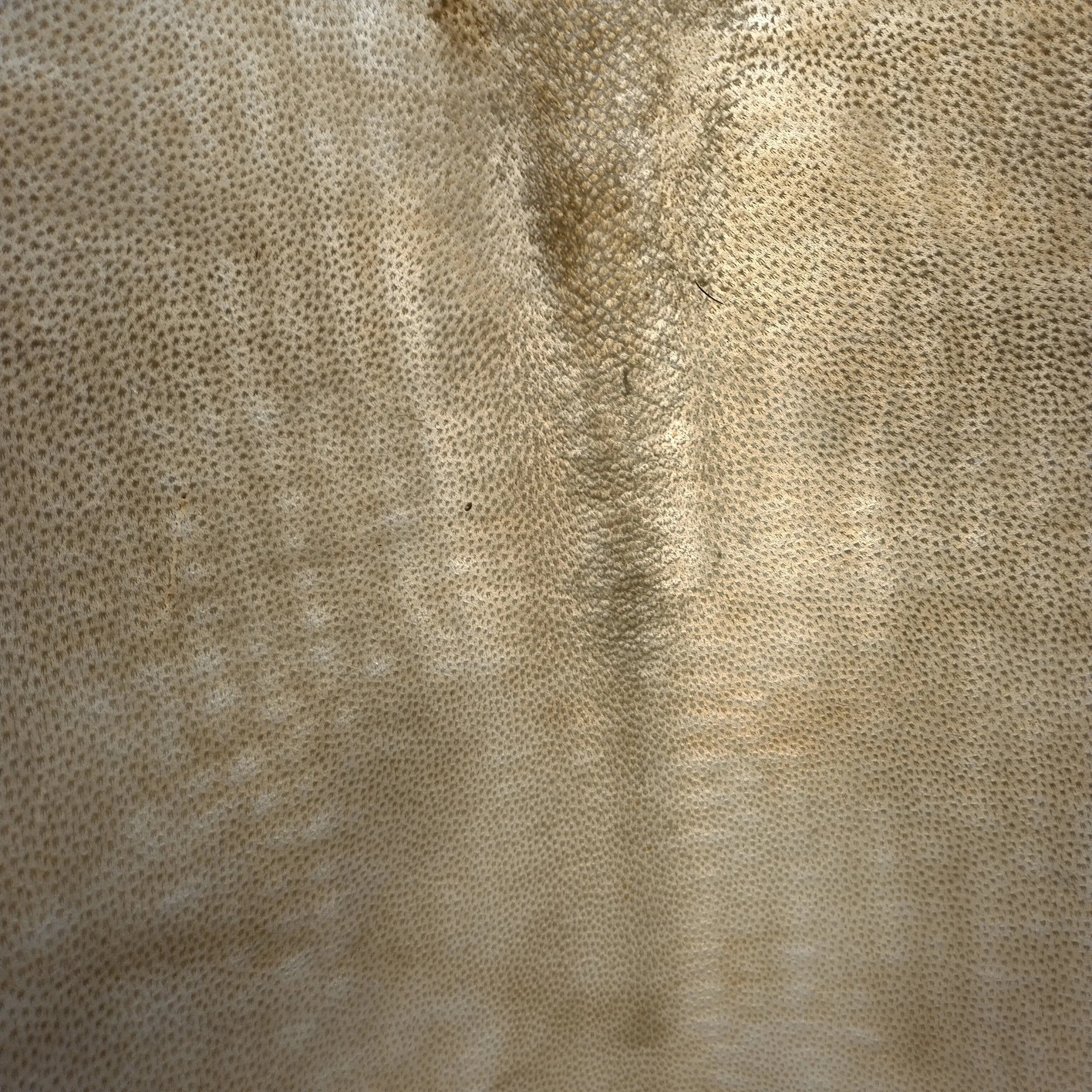 Close-up image of camel leather with visible grain pattern and natural variations.