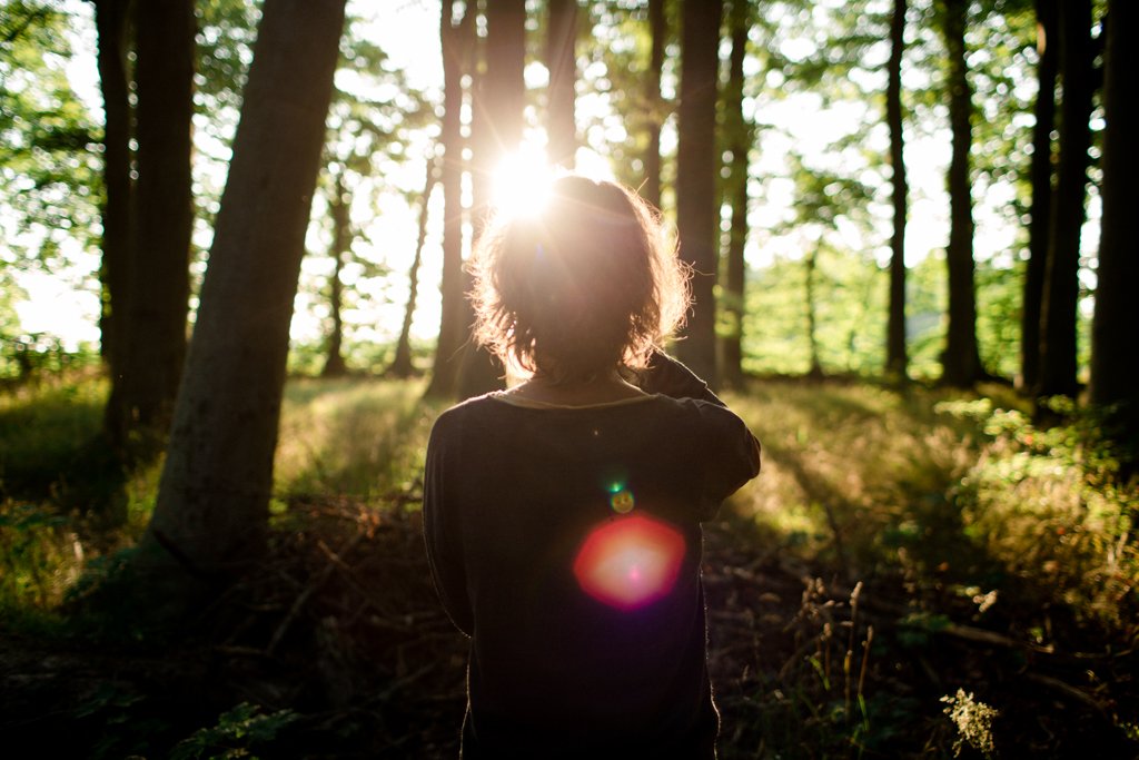 A person with curly hair standing in a forest, facing away from the camera, with sunlight shining through the trees.