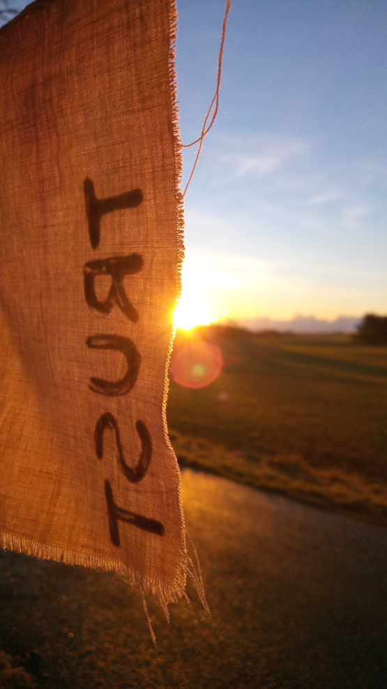 A close-up of a small piece of fabric hanging outside like a small flag, with the print "trust" on it. A golden morning sun is lightening up the flag.
