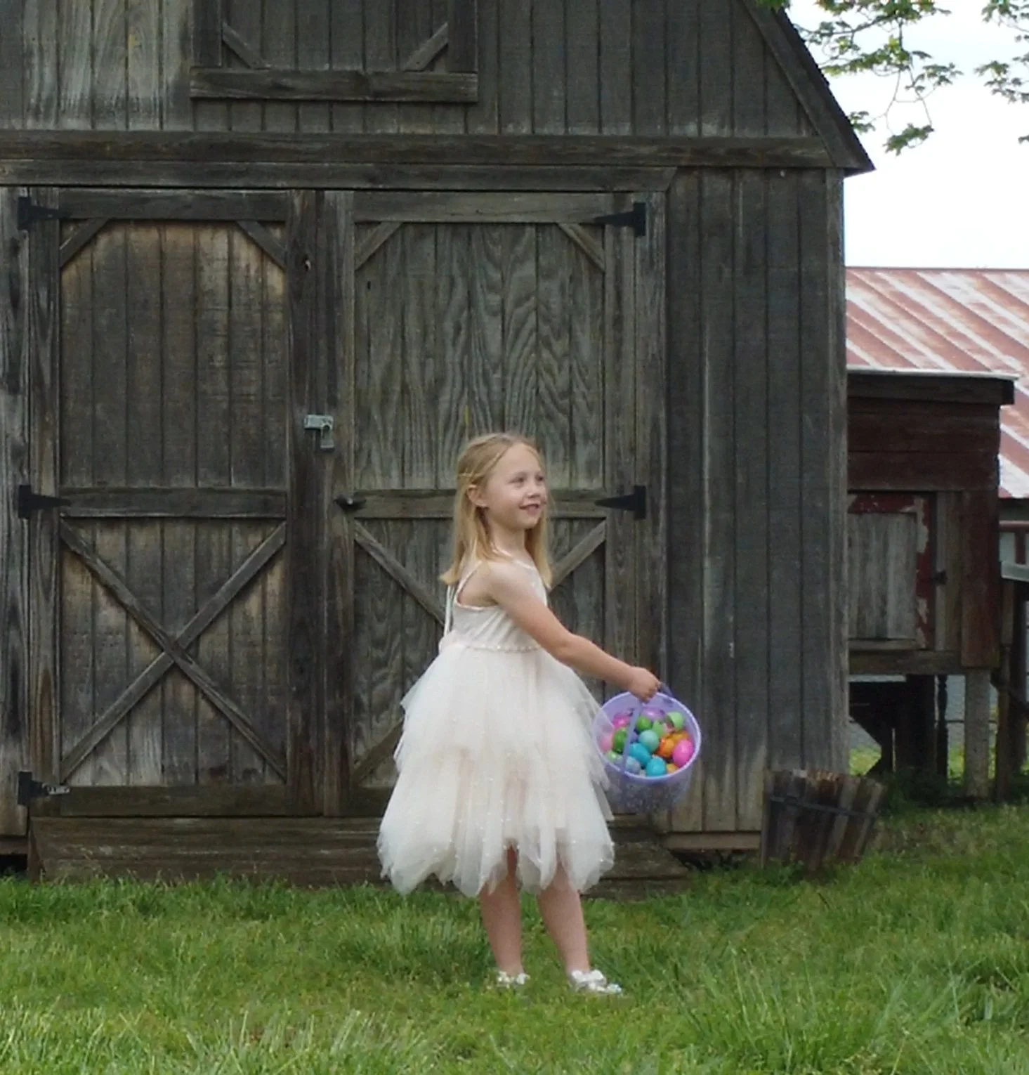 Young girl in a white tulle dress holding a basket of colorful Easter eggs outside near a wooden barn.