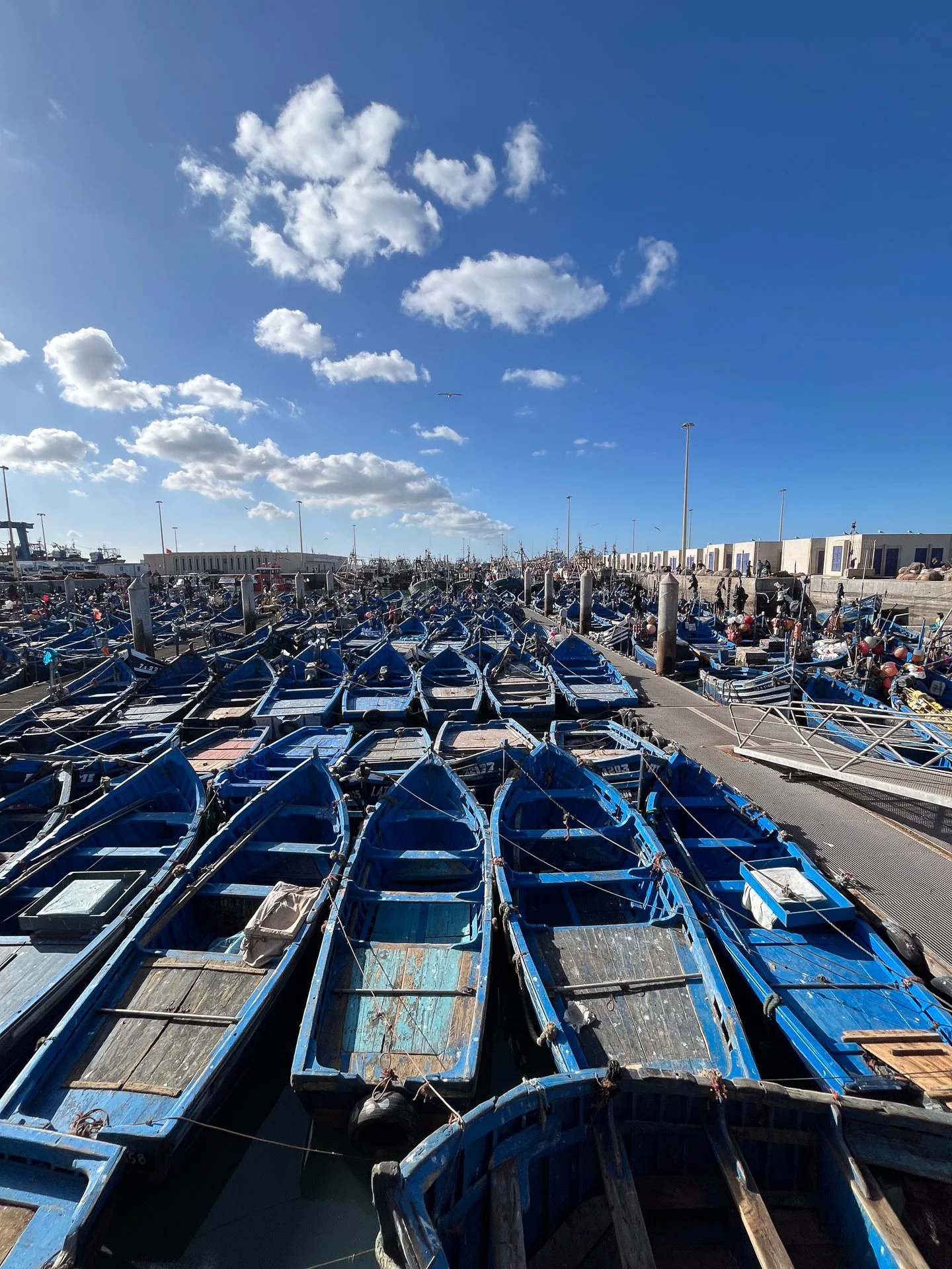 Essaouira Port