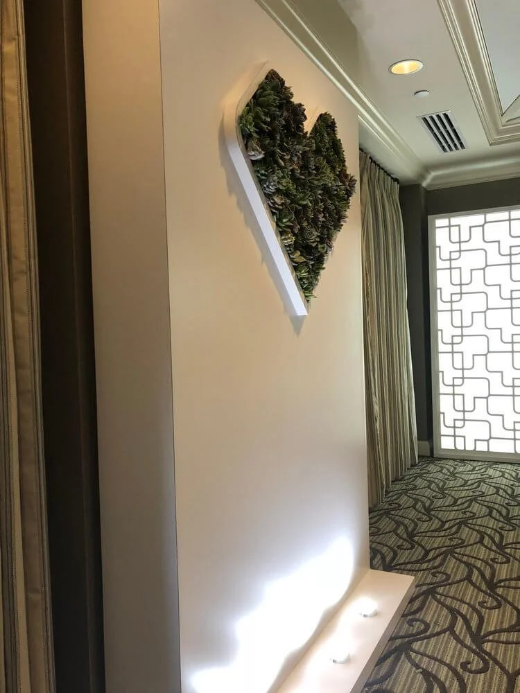CVS - hotel wall plant.jpg