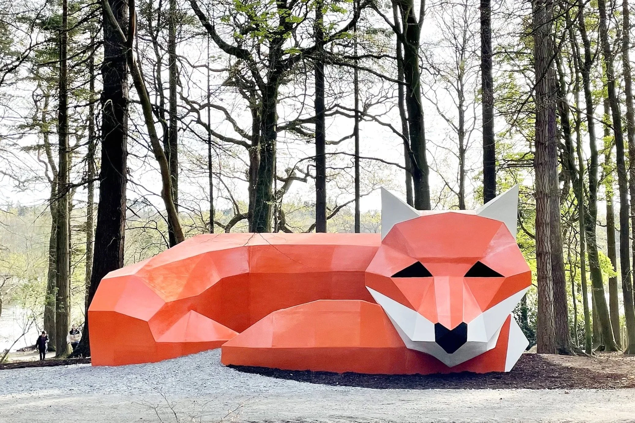 The Fox | Hillsborough Forest Park