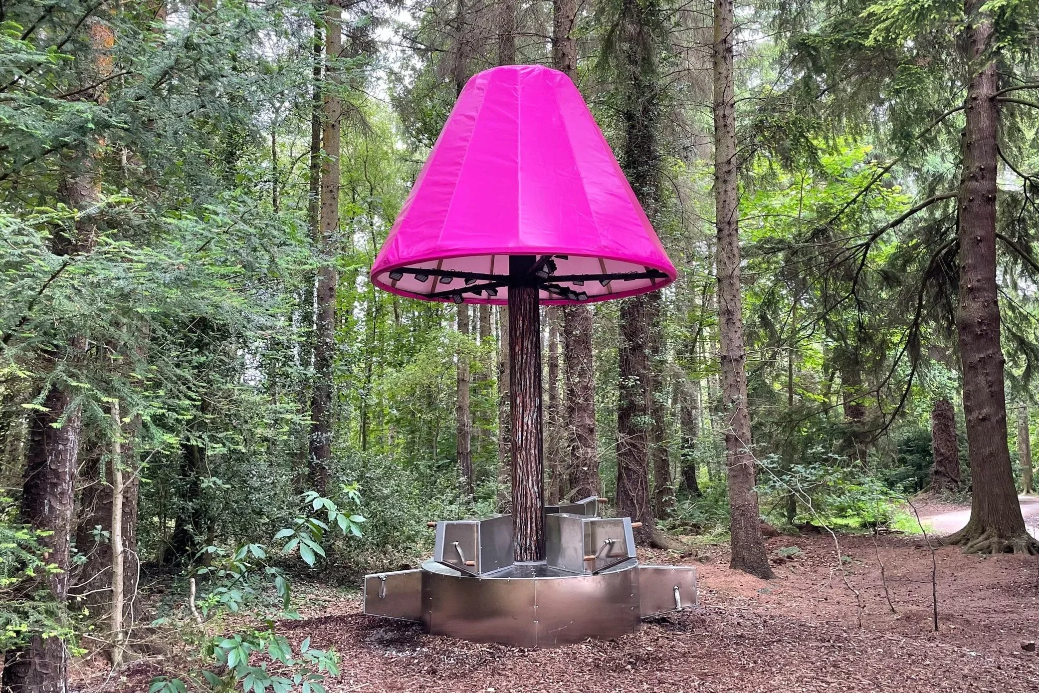 Light | Hillsborough Park