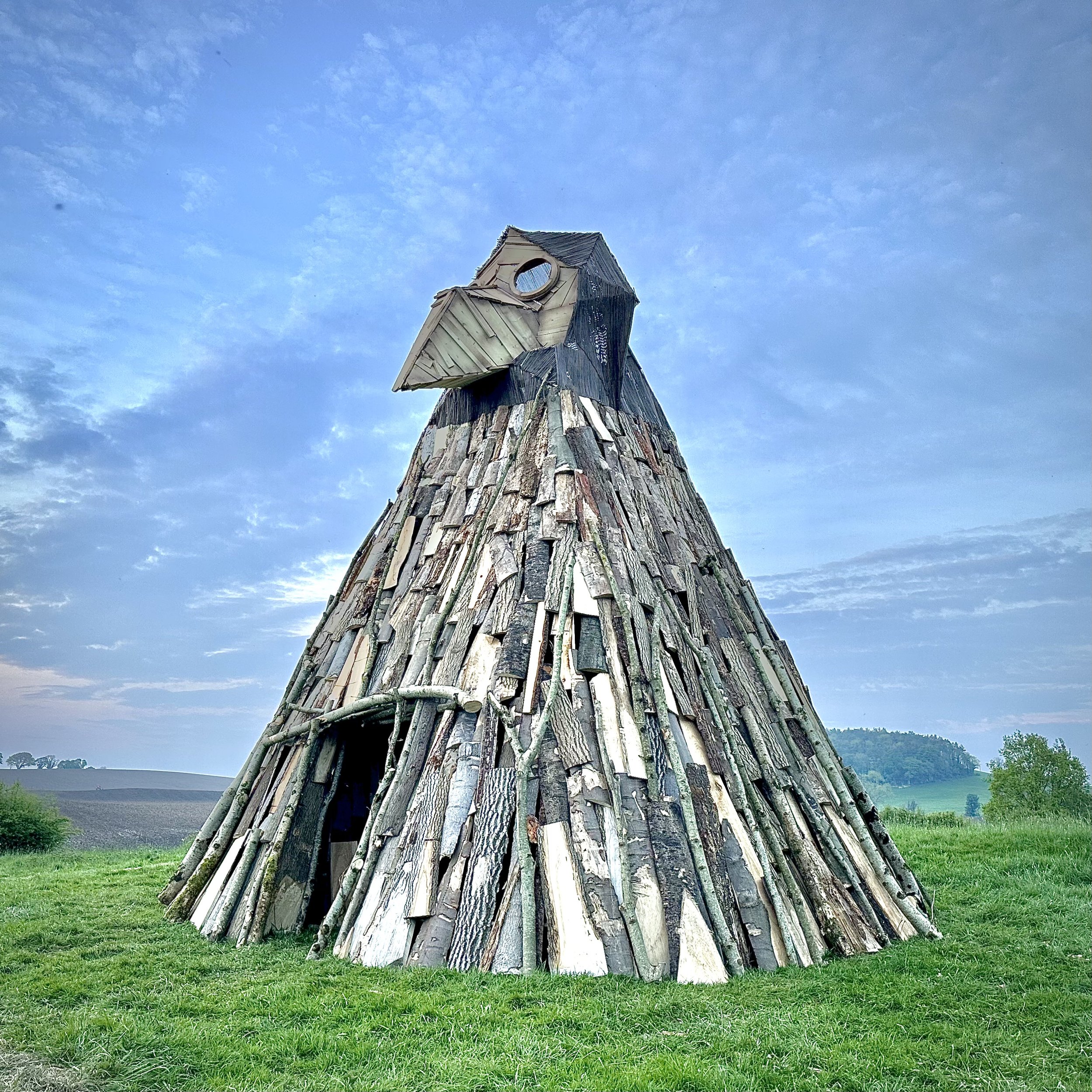A large wooden sculpture of a bird's head, made from various pieces of wood, sits outdoors on a grassy field under a partly cloudy sky.