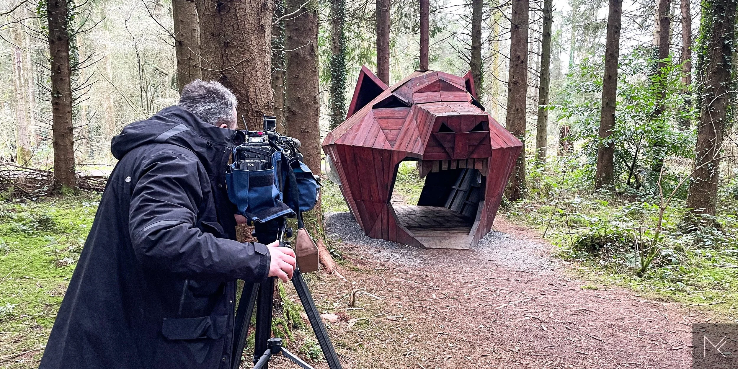 The Morrigan | Rossmore Forest Park