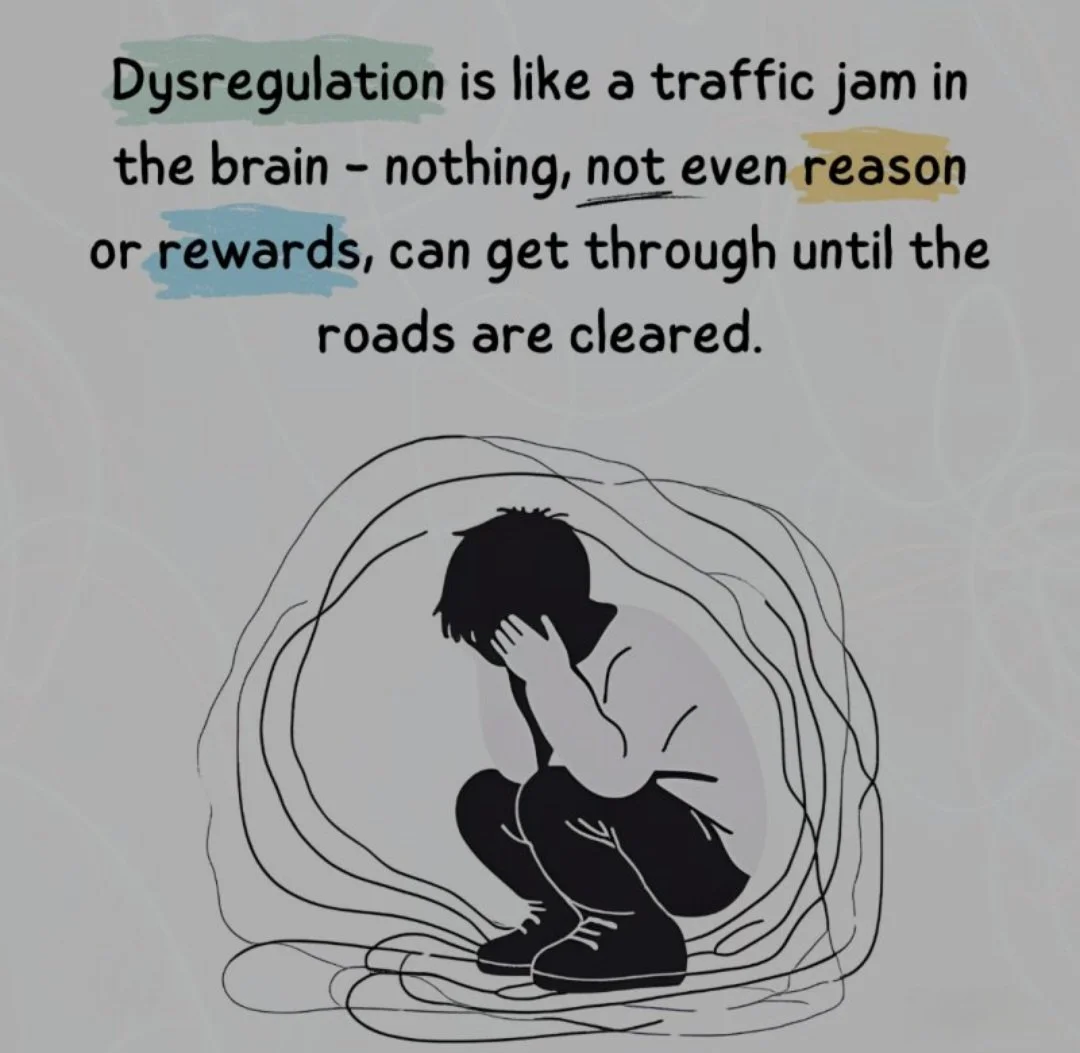 Emotional What?? Information regarding emotional dysregulation 