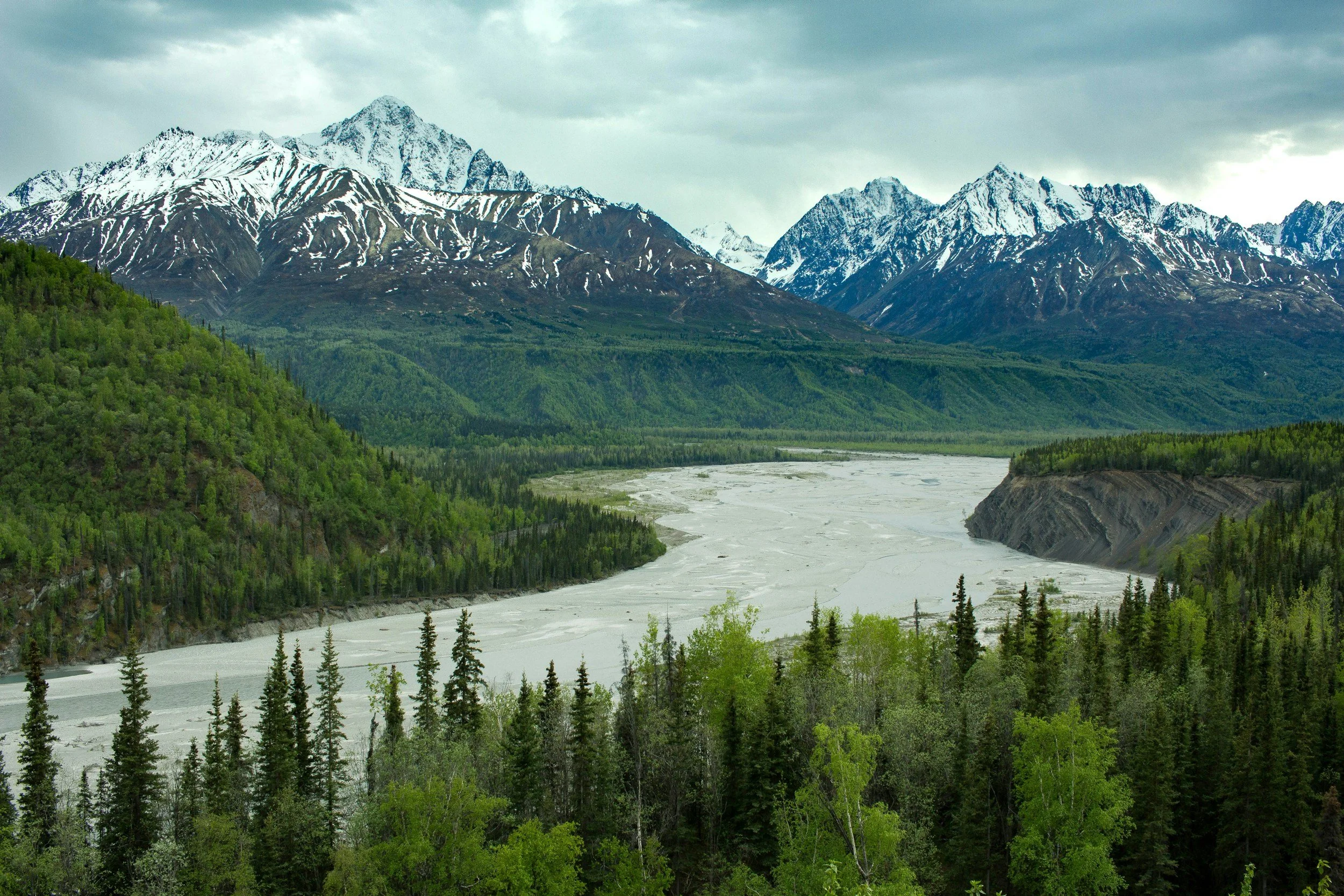 Snow-capped mountains over a lush green forest and a wide river in a valley in Alaska.