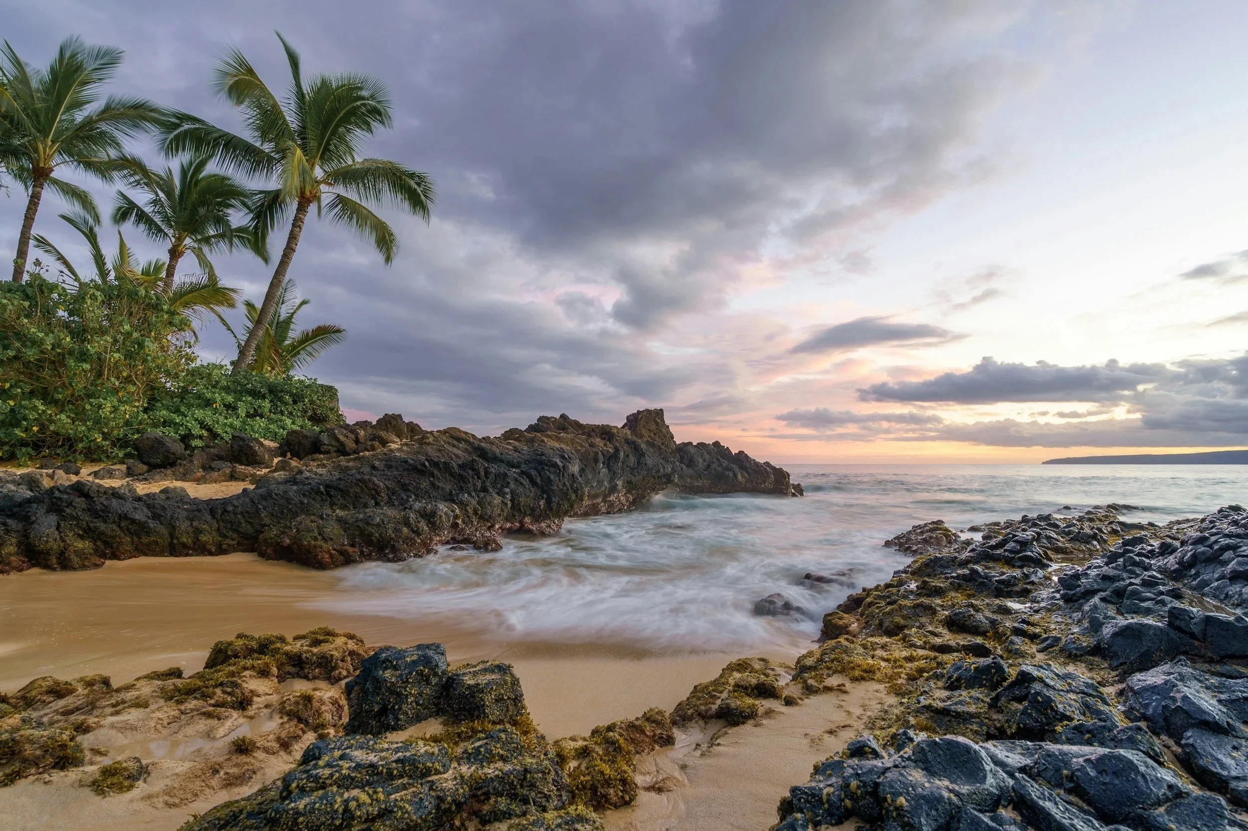 Tropical beach scene during sunset with palm trees, rocky shoreline, and ocean waves.