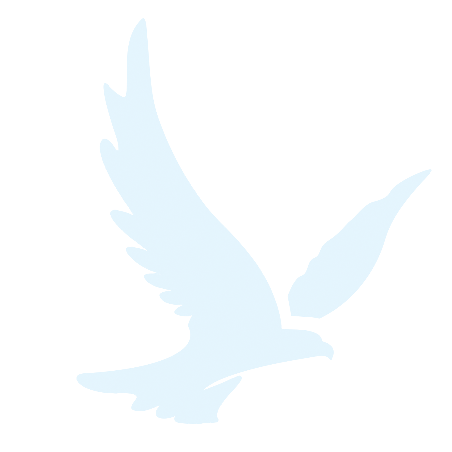 Silhouette of a bird in flight with wings spread wide.