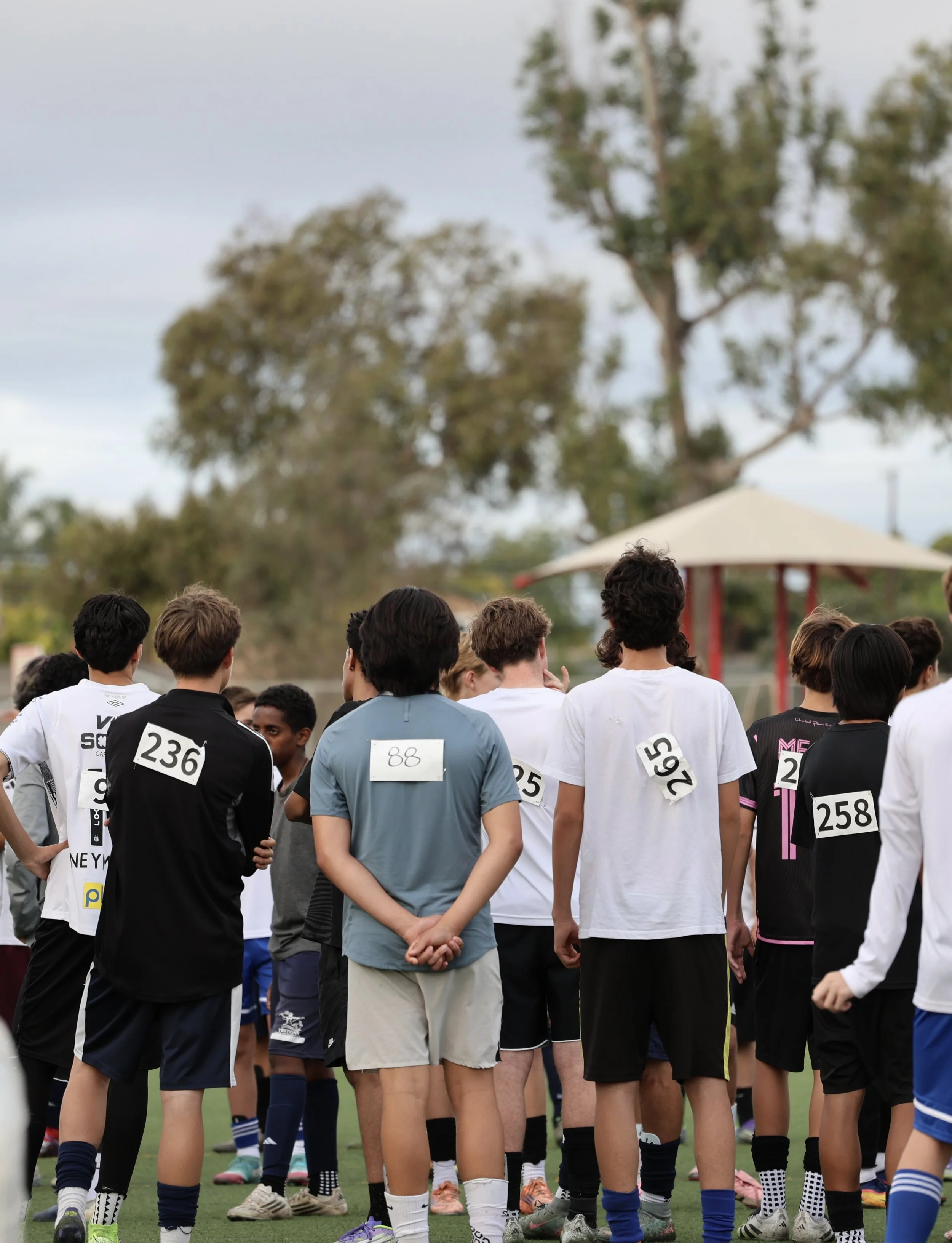 Albion MLSNext Tryouts 2026