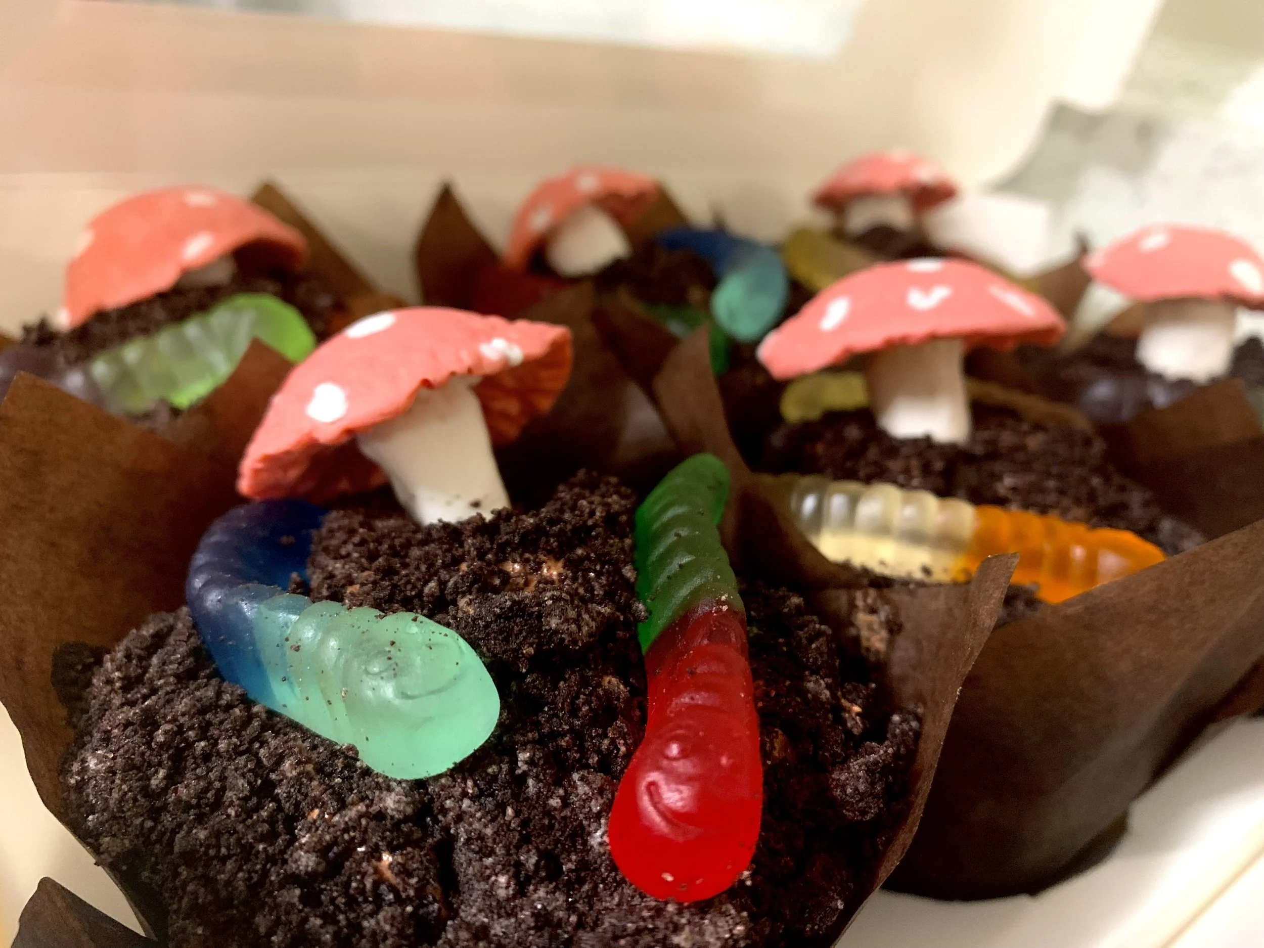Dirt 'n Worms Cupcakes