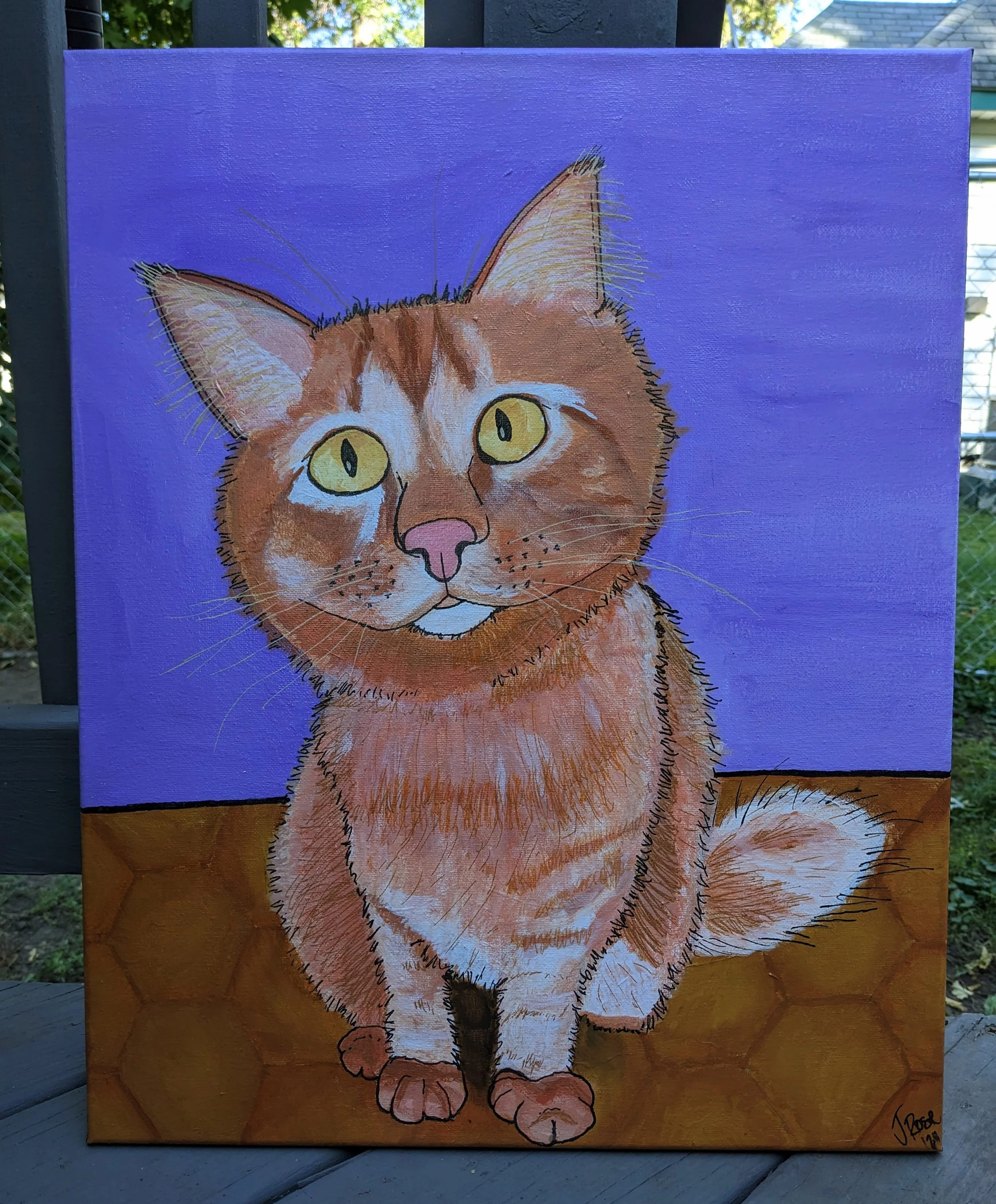 PXL_20240922_210948599 (1).jpg