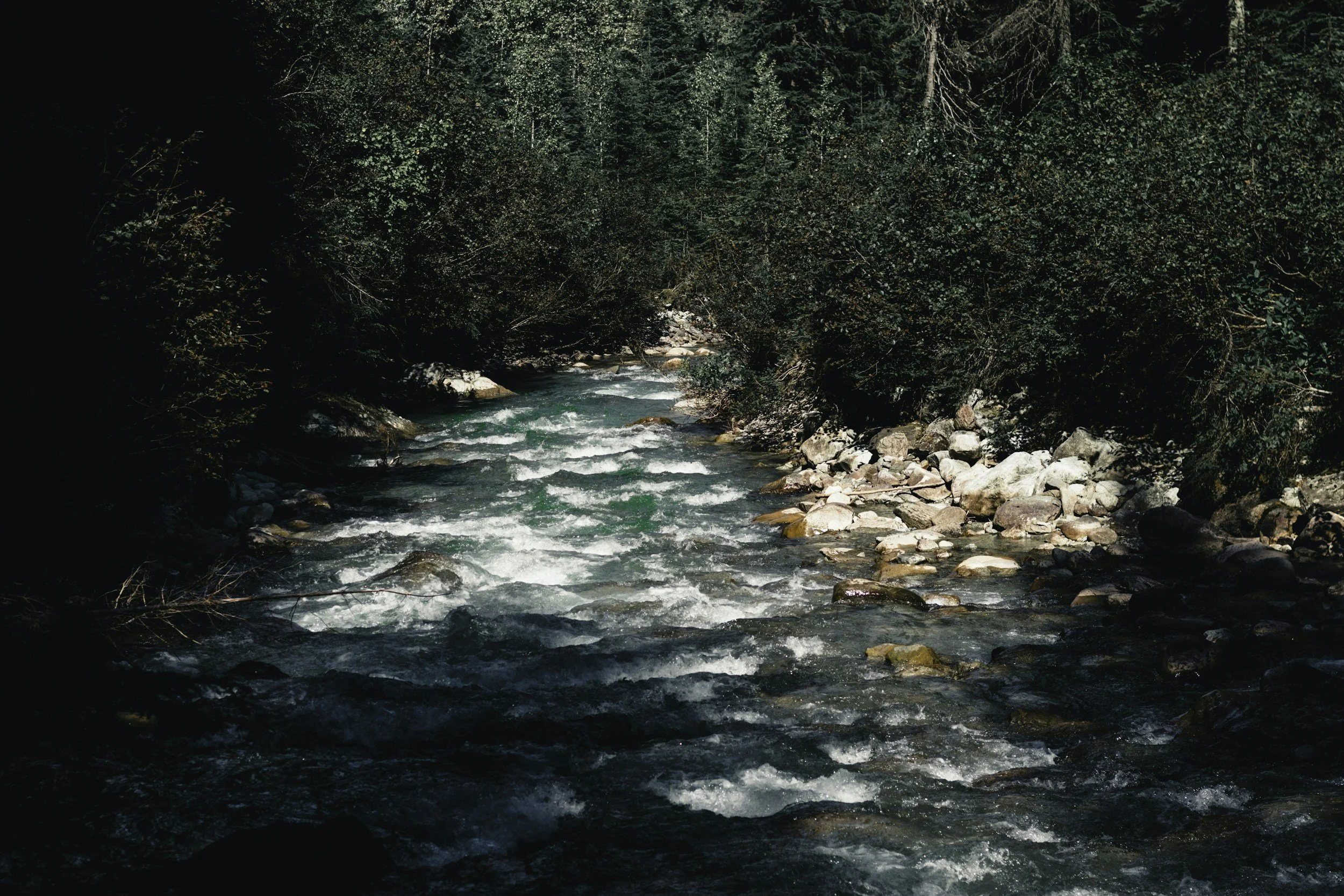 A mountain stream flowing through a forest with green trees and rocks in the water.