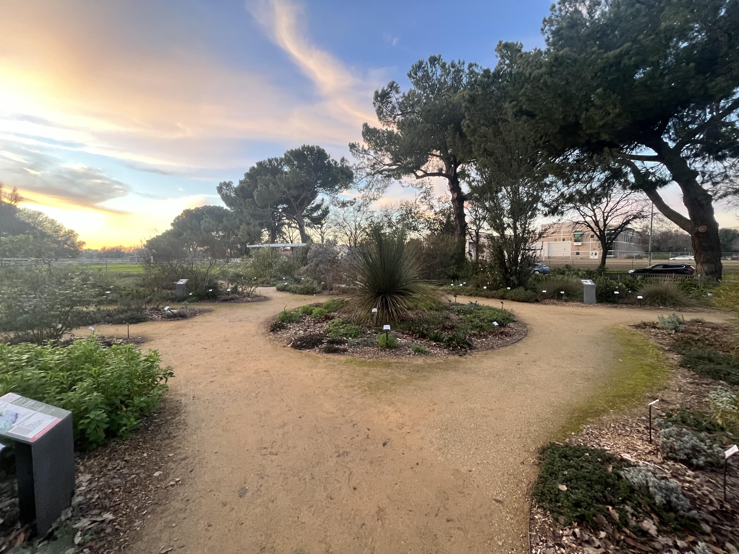 I don’t even know how to swim