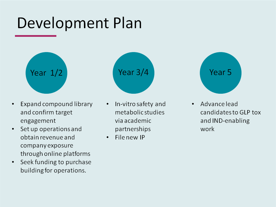 Development Plan
