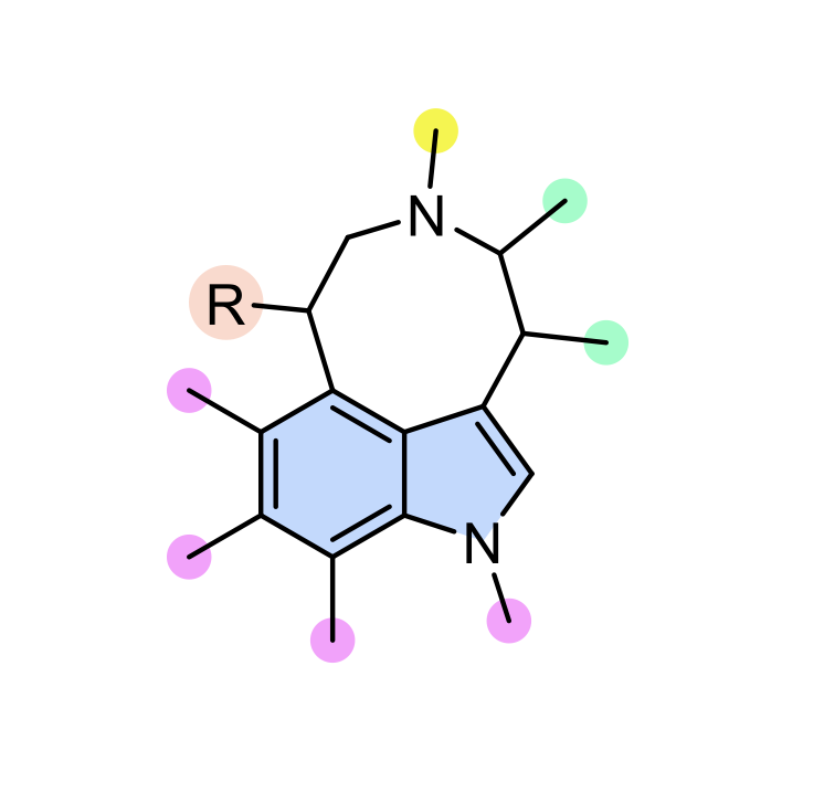 The Azocino Platform