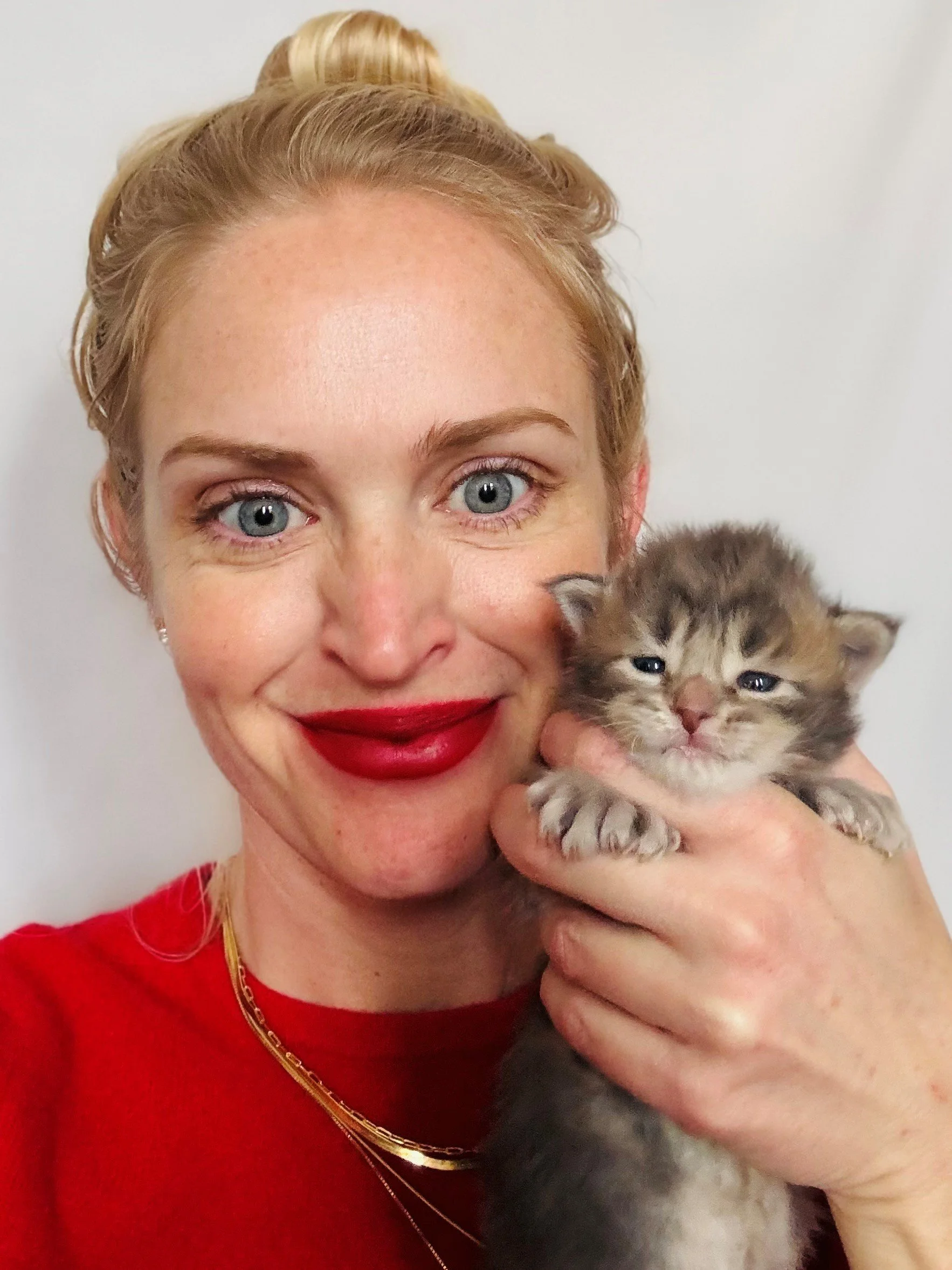 A woman with blonde hair styled in a bun, wearing red lipstick and a red top, is smiling while holding a small blue silver classic tabby Main coon kitten with polydactyl paws close to her face.