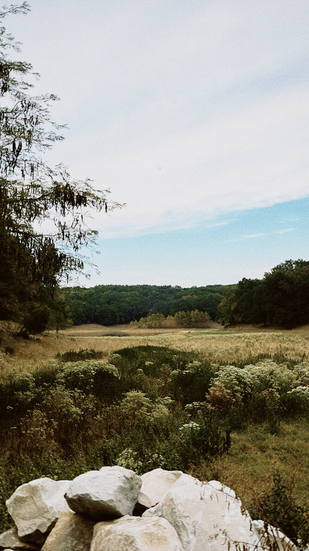 classicu 2025-09-23 120146.686 copy.png