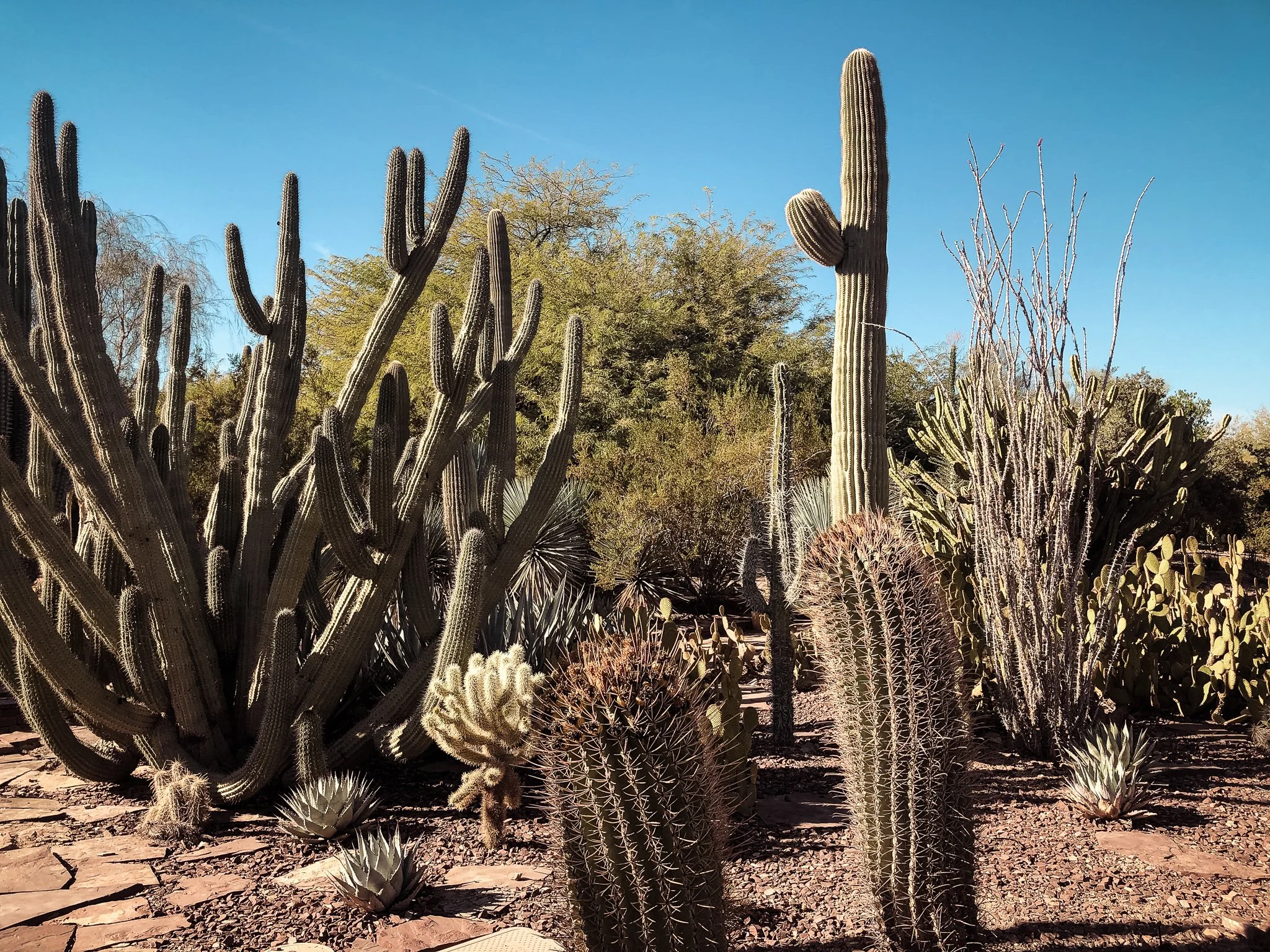 Scottsdale, Arizona Travel Guide
