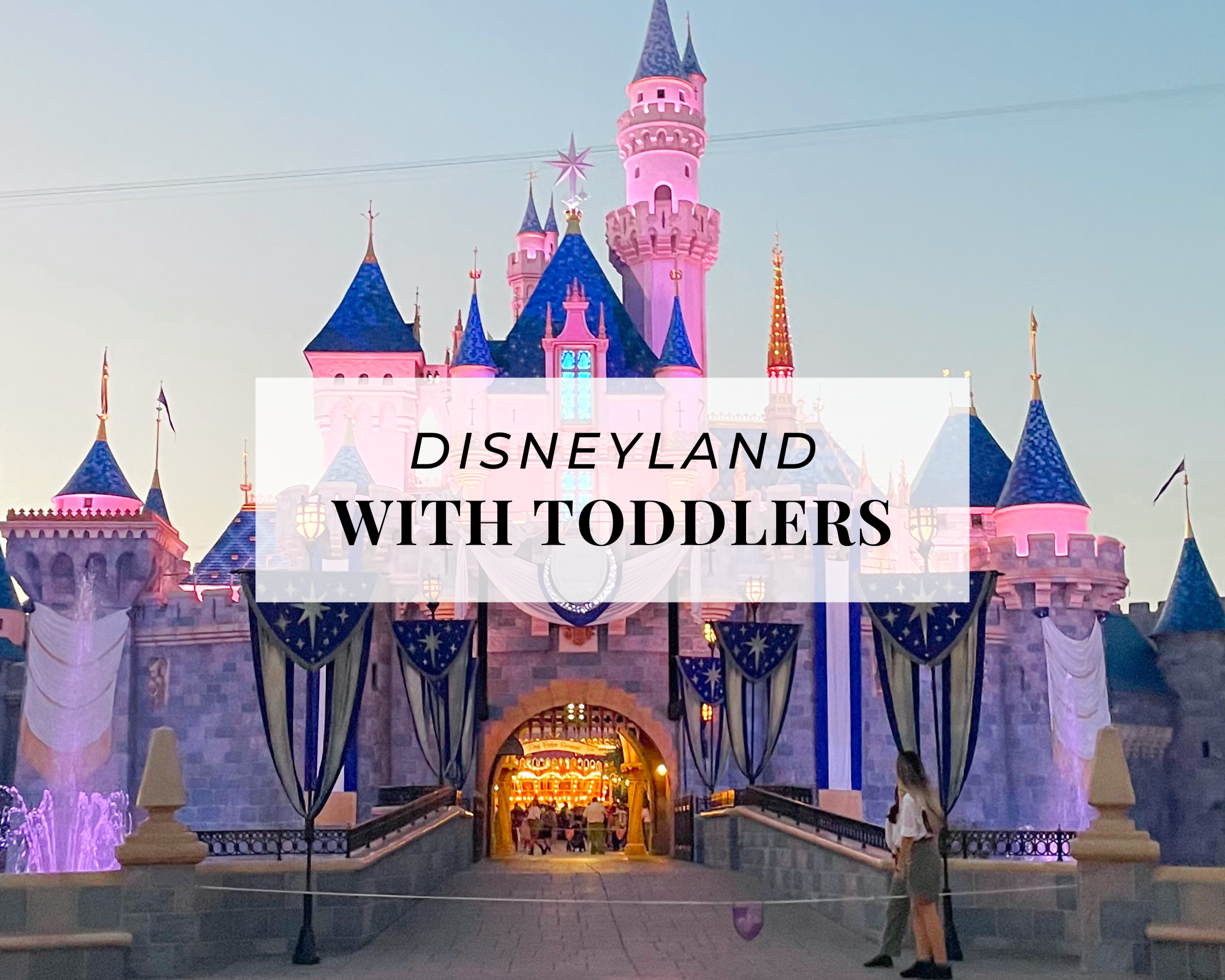 Disneyland with Toddlers