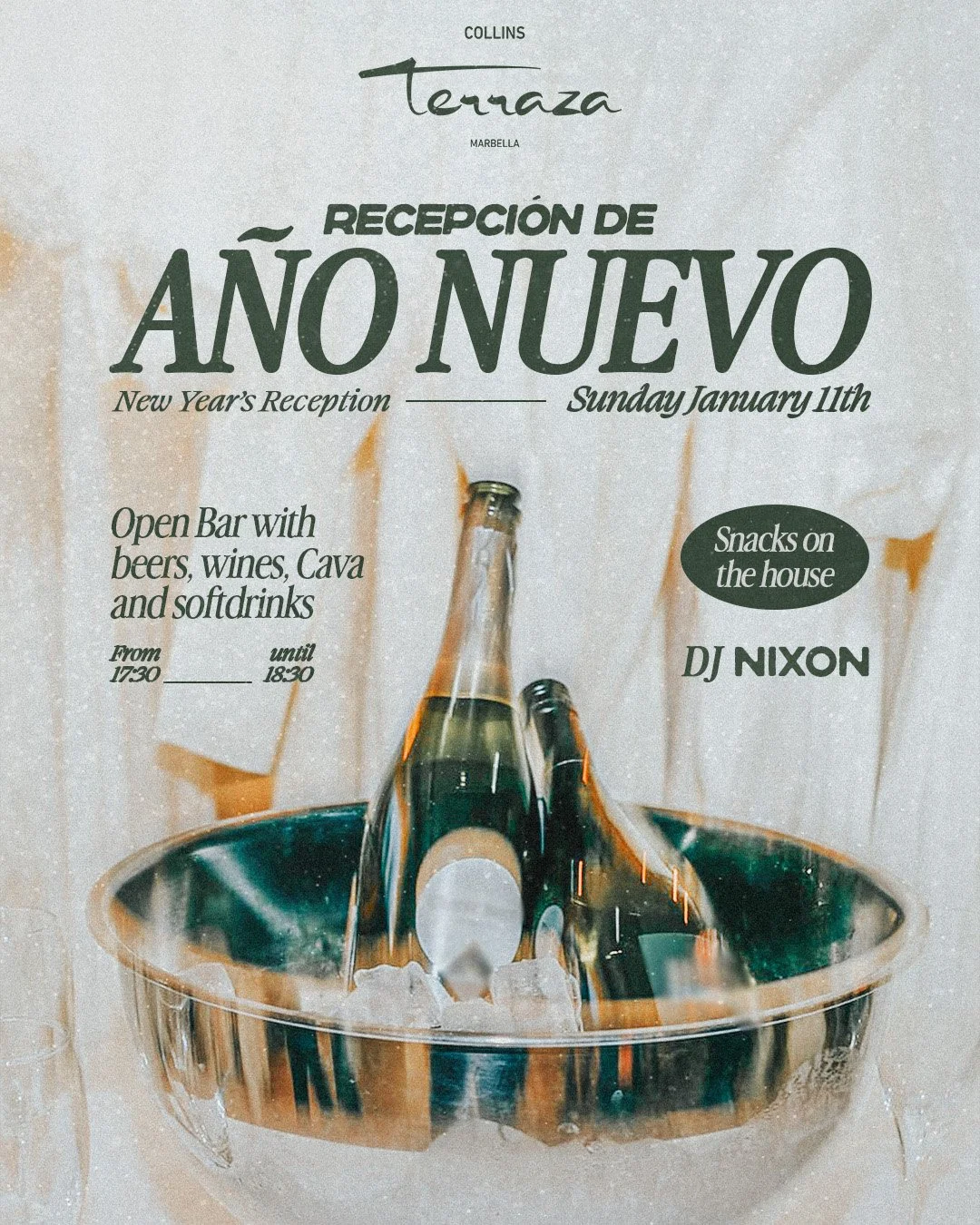 Recepcion de Año Nuevo