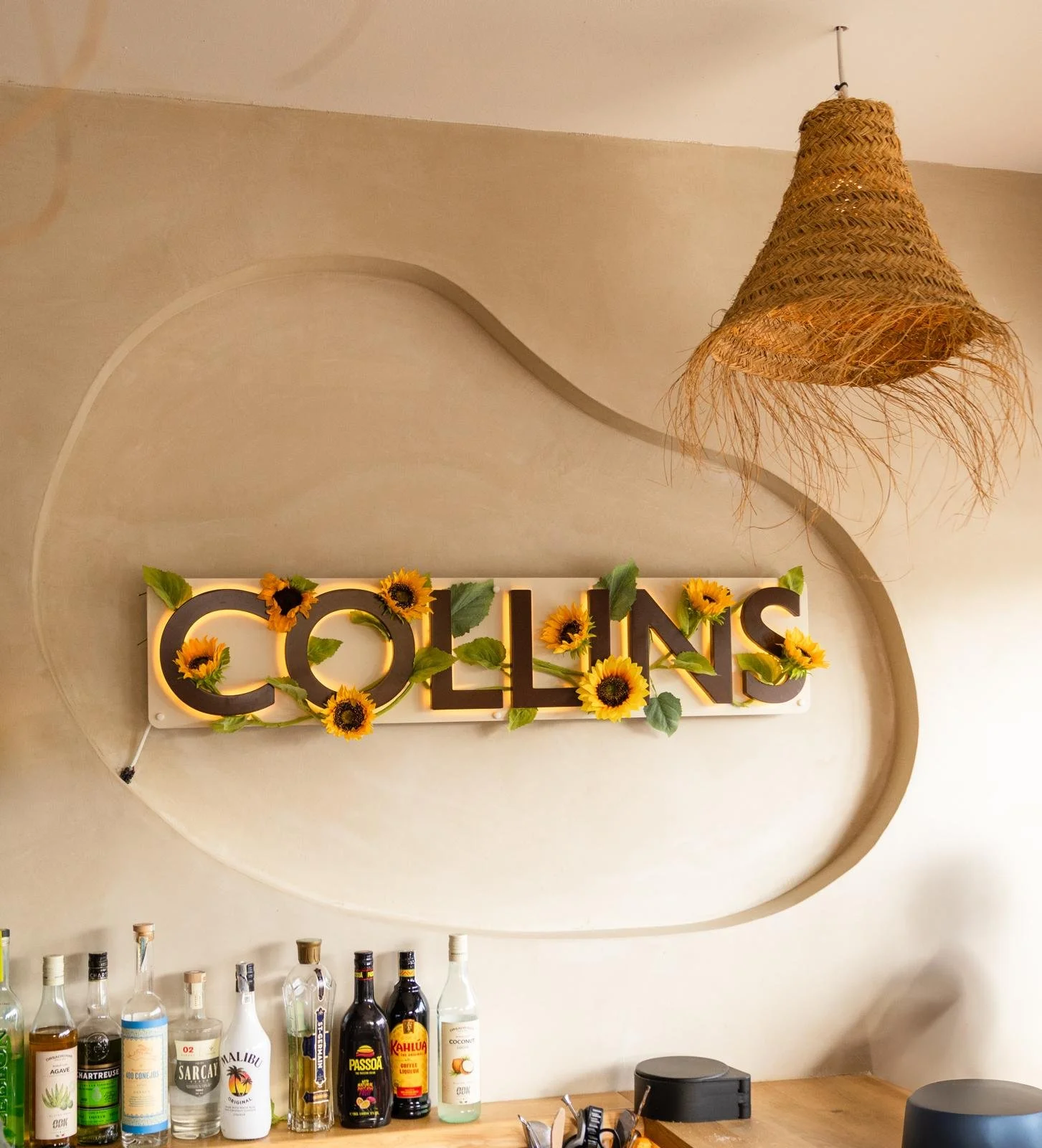 WhatsApp Image 2026-01-18 at 14.03.15.jpeg