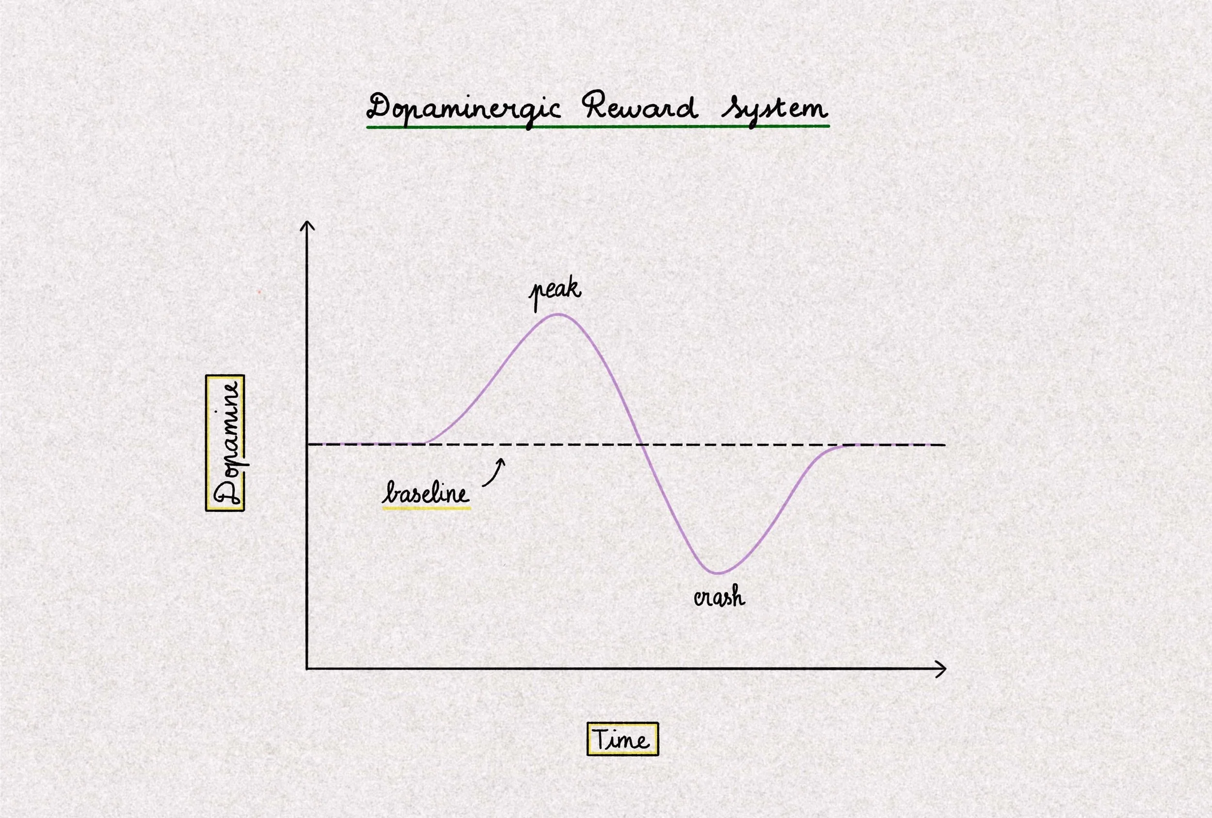 Dopaminergic reward system figure