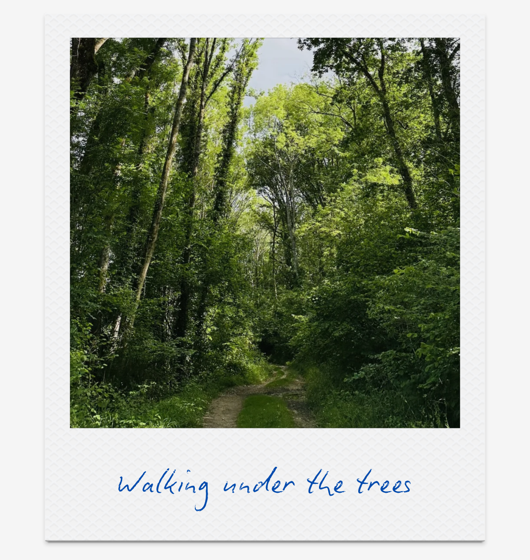 23-walking-gentle-dopamine-boosters-claire-cascail.png