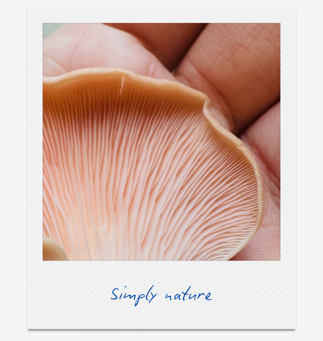 21-nature-gentle-dopamine-boosters-claire-cascail.png