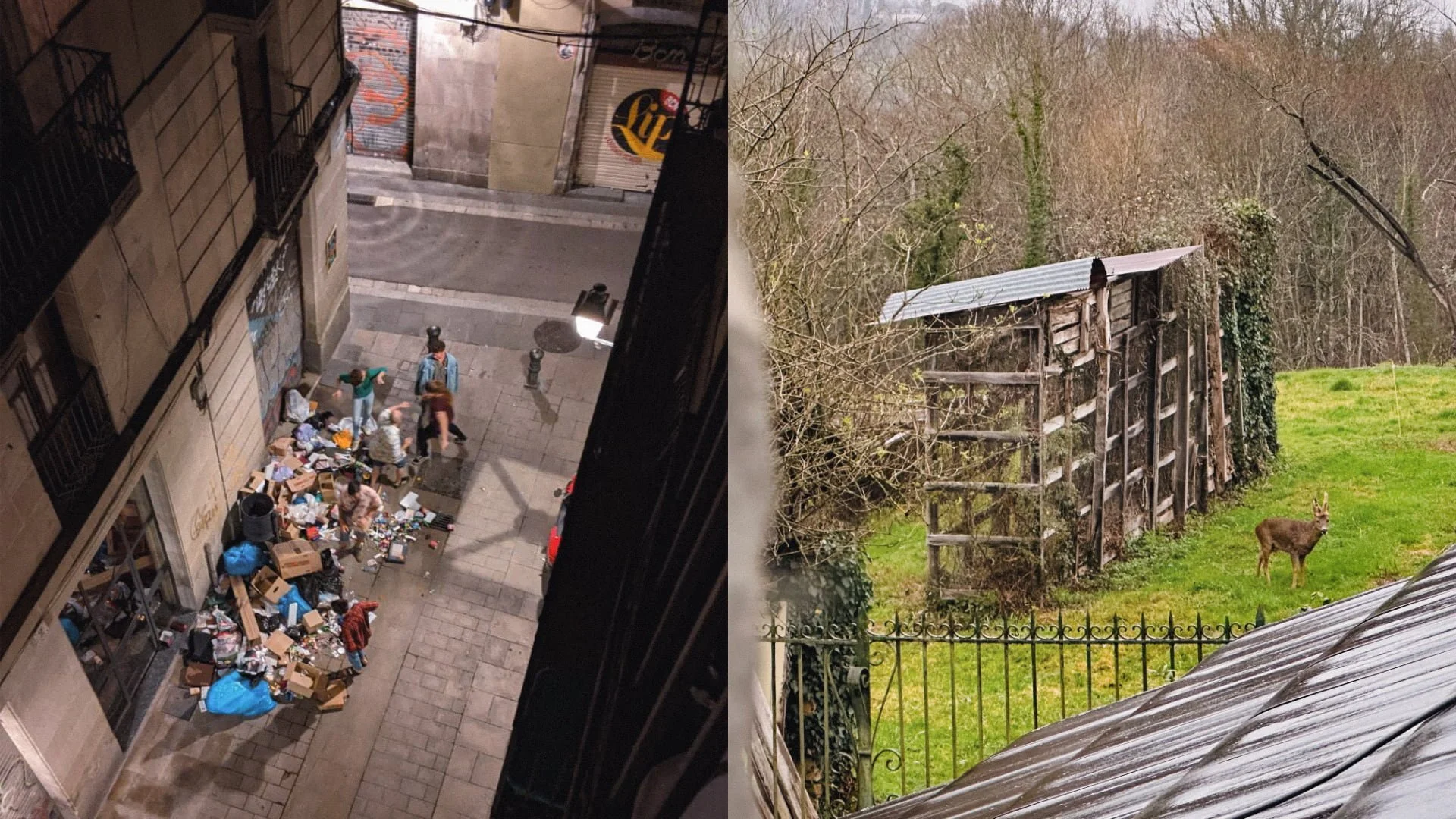 Views from my window before and after mastering dopamine