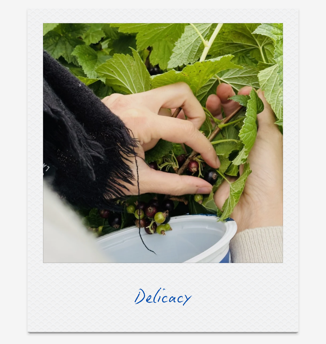 19-delicacy-gentle-dopamine-boosters-claire-cascail.png