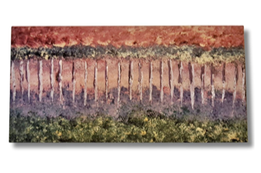 Smokey mountains. View from Airbnb Terrace. Tennessee.